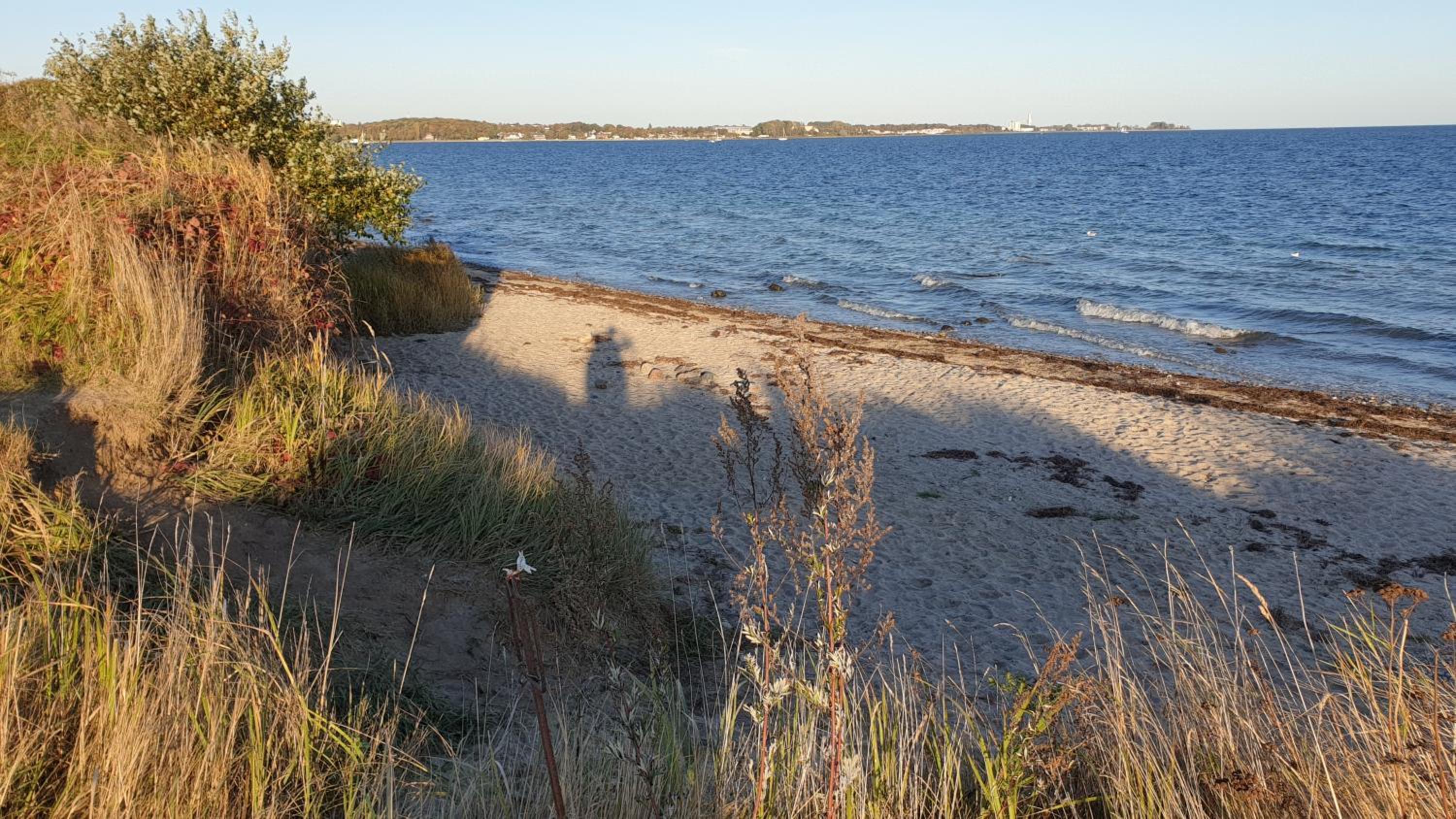 Iris Strandhus