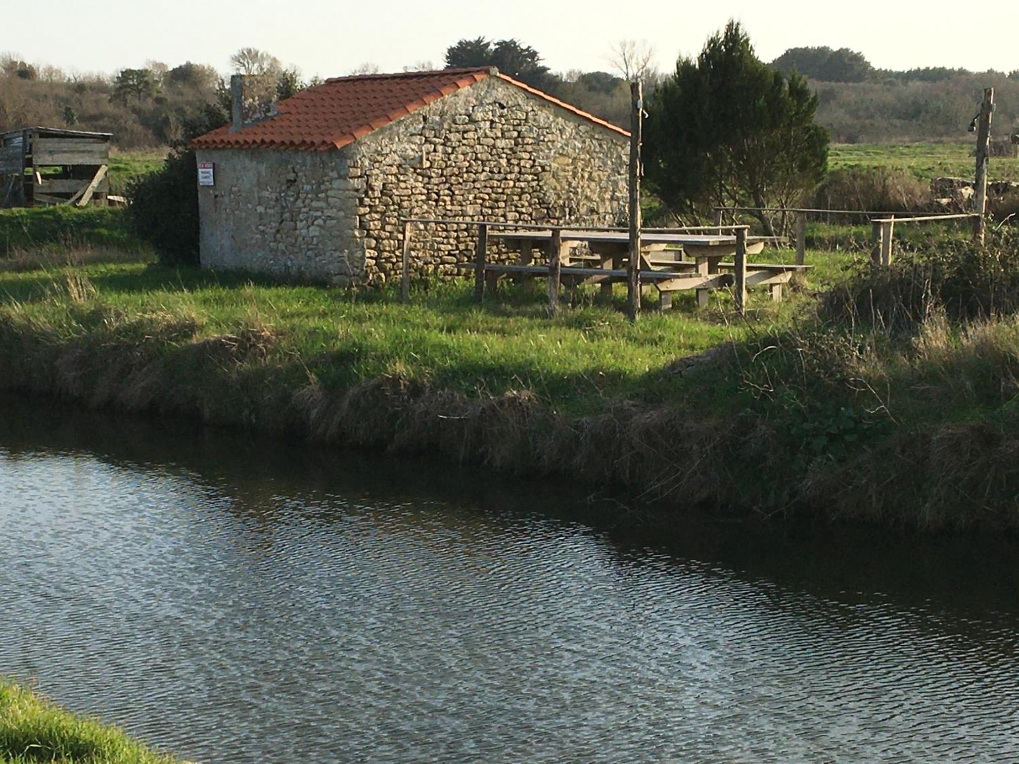 Photo 26