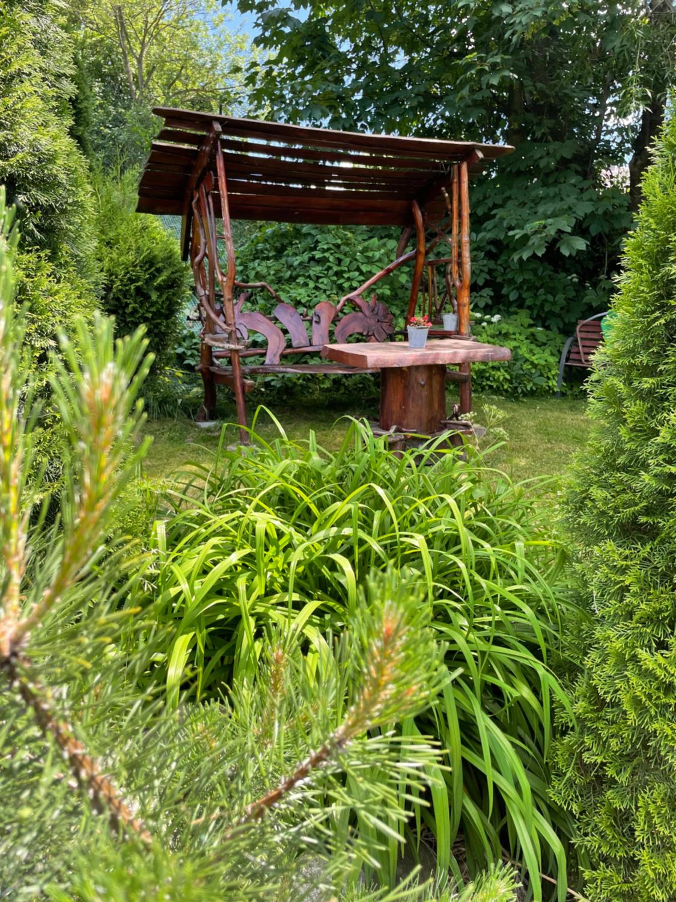 Photo 15