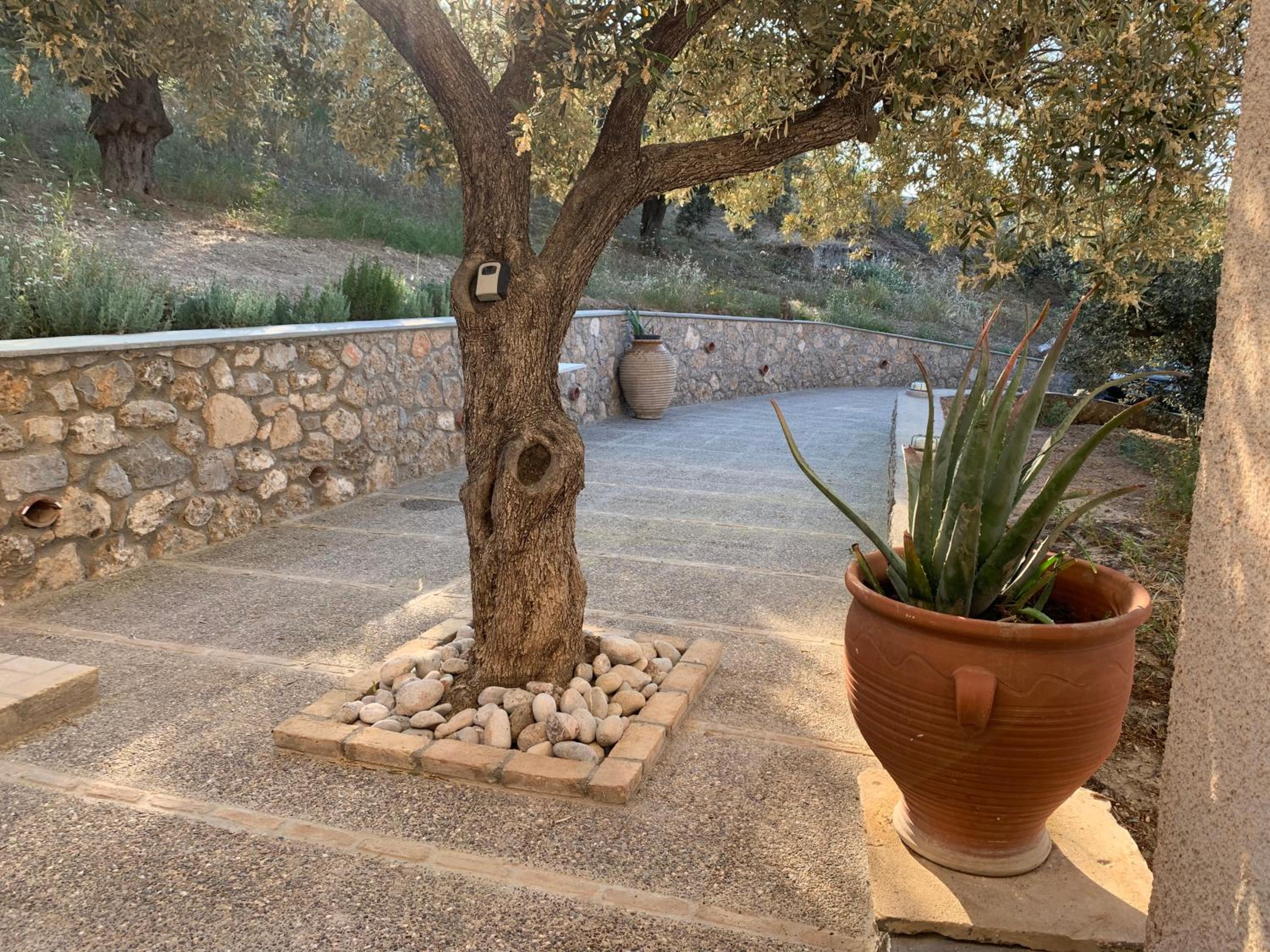 Villa Brachera photo 2