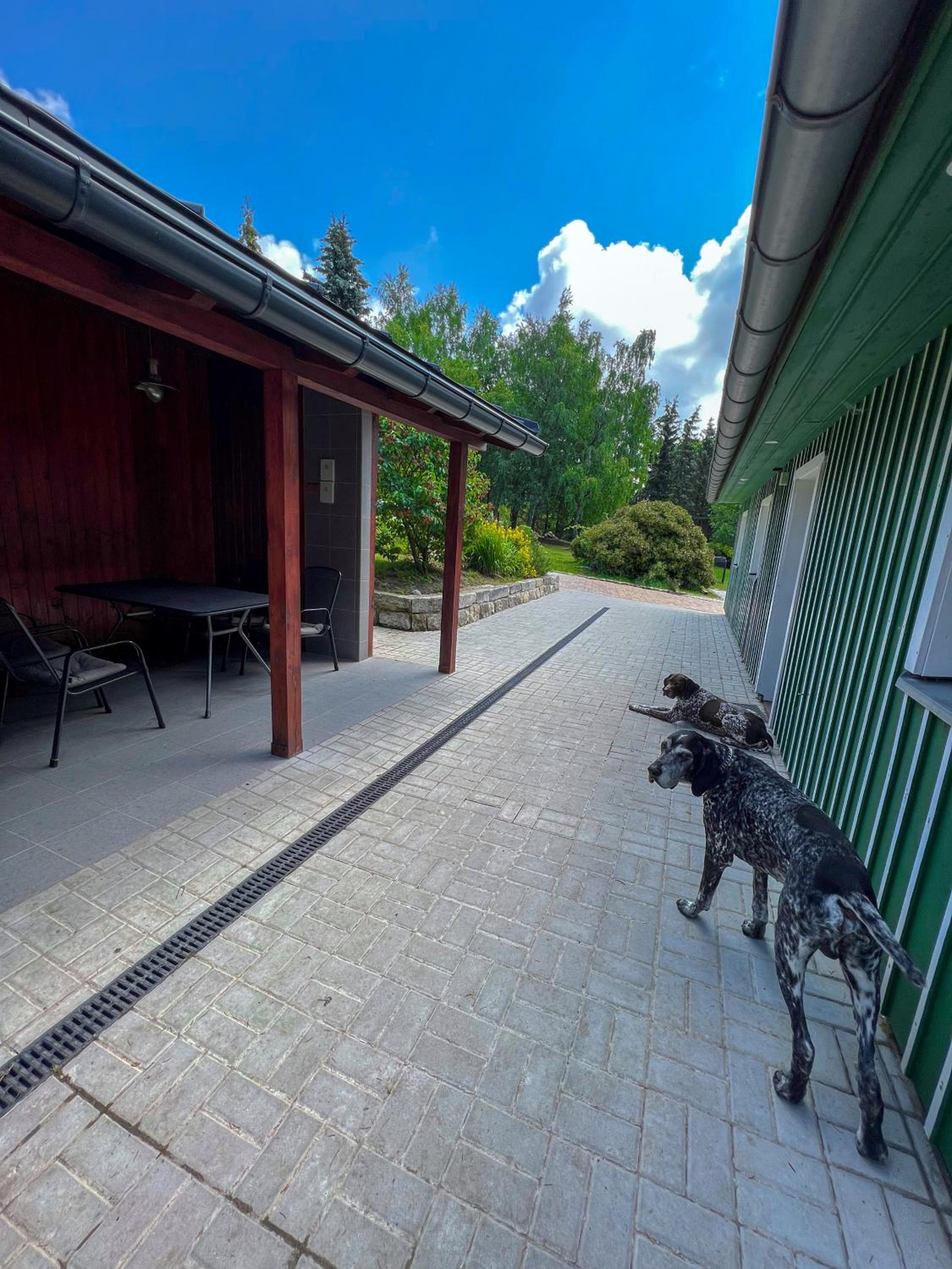 Guest House LUFT Sněžník