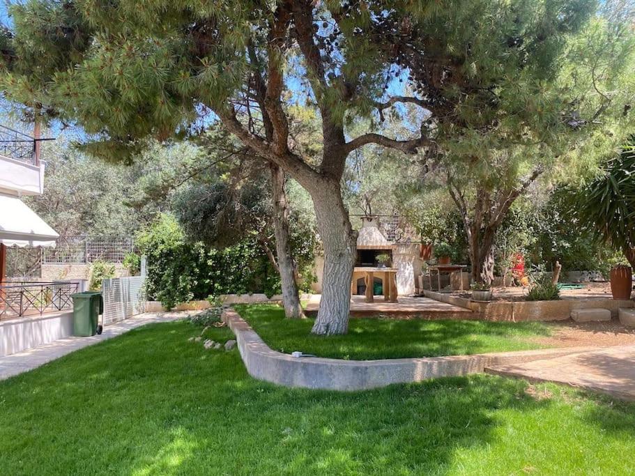 Villa Reina on the hill of Vouliagmeni photo 3