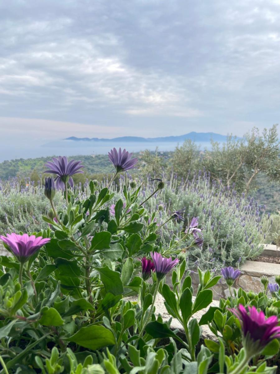 Villa Konaki view 3