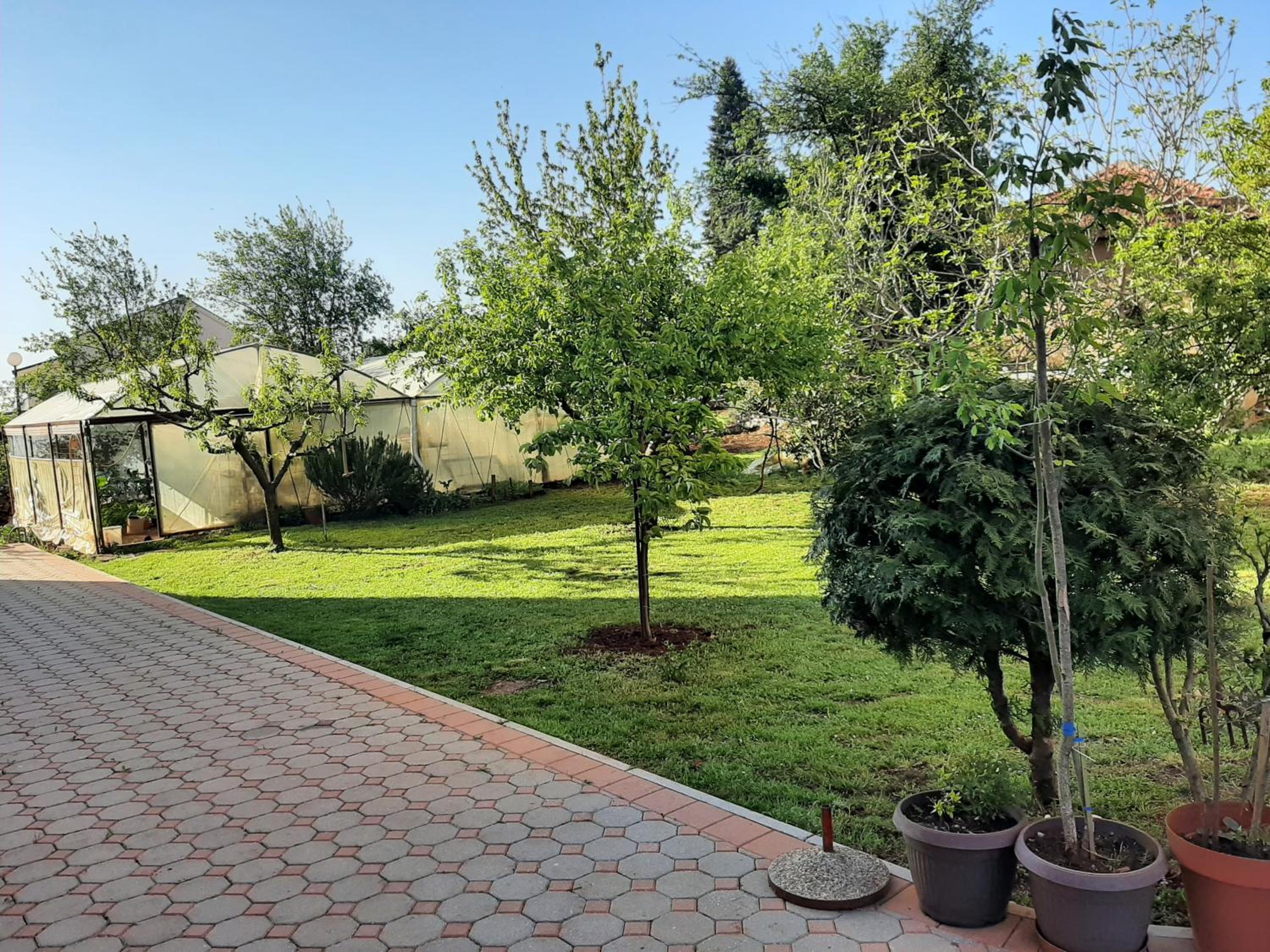 Anđela