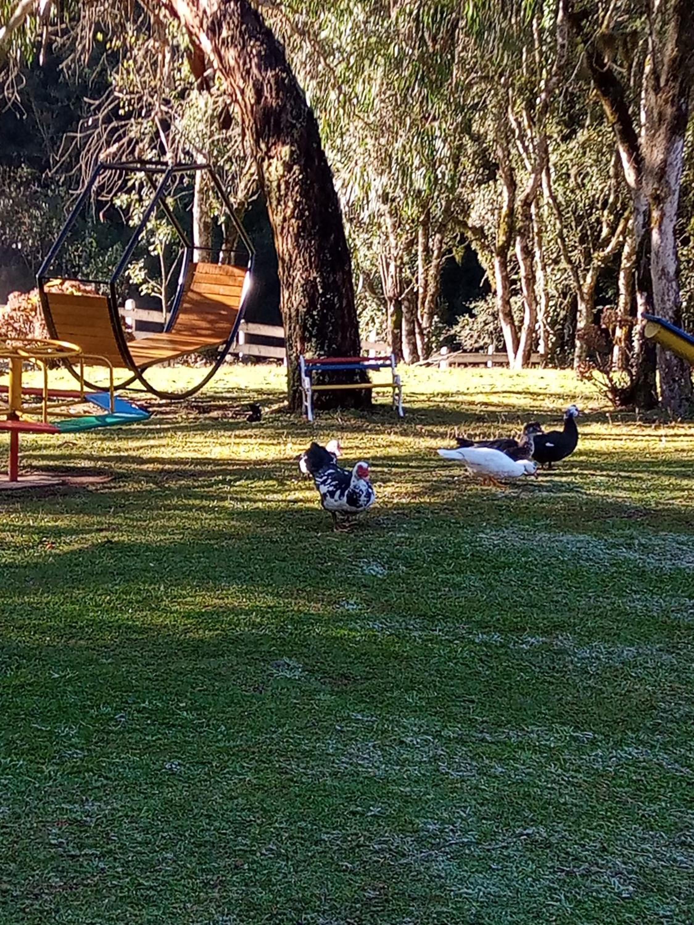 Magia das Hortênsias - Natureza, Hidromassagem e Muita Tranquilidade!