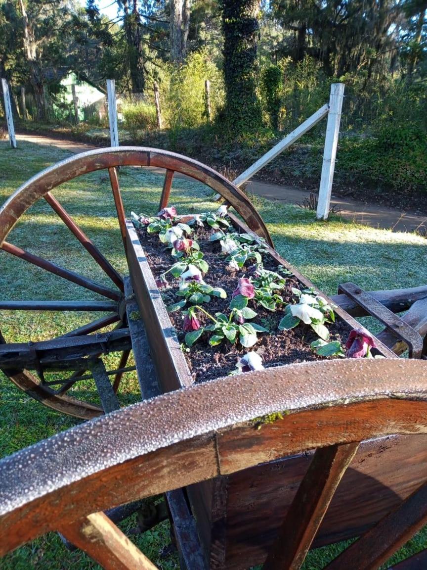 Magia das Hortênsias - Natureza, Hidromassagem e Muita Tranquilidade!