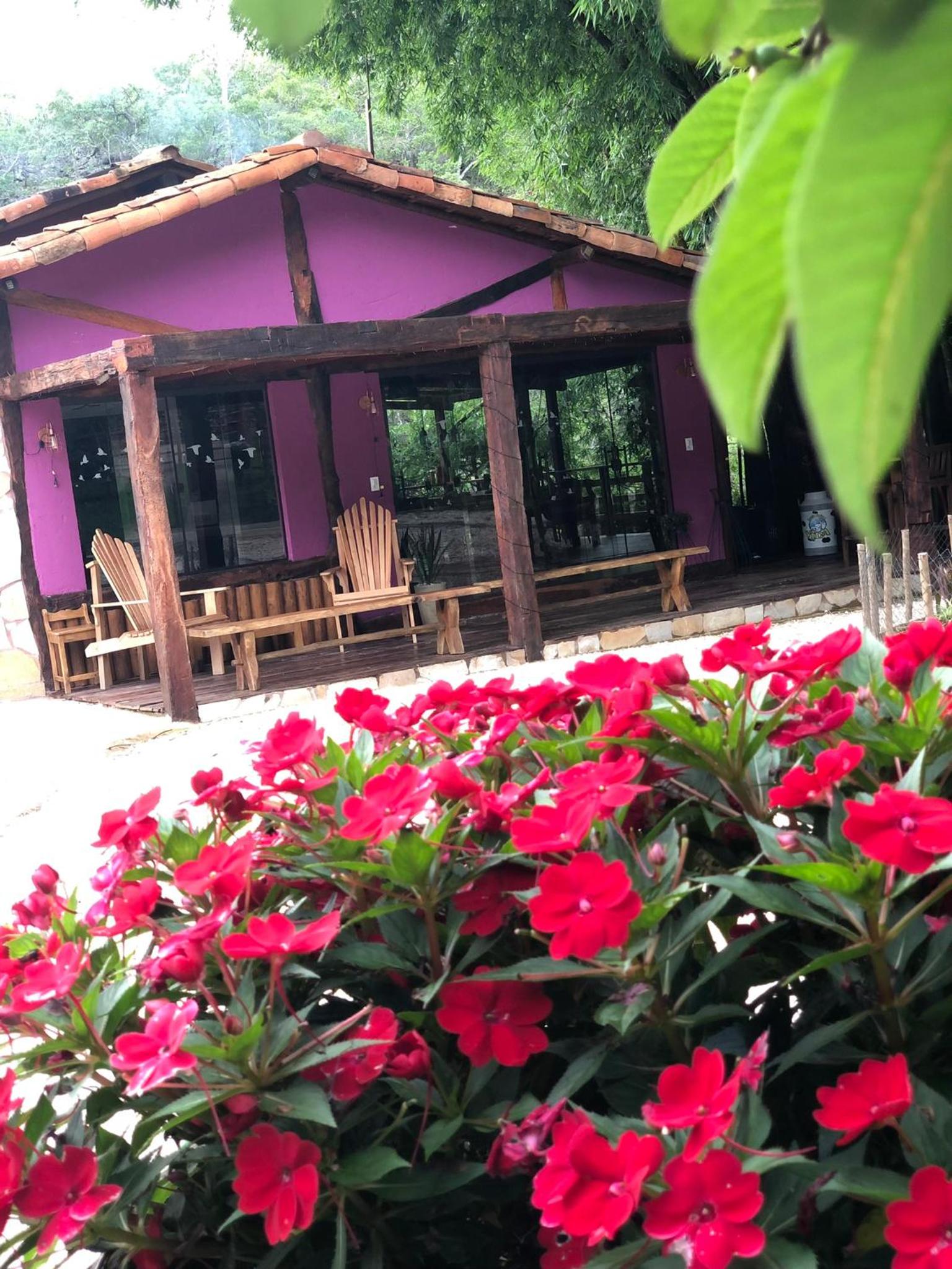 Casa Bamboo