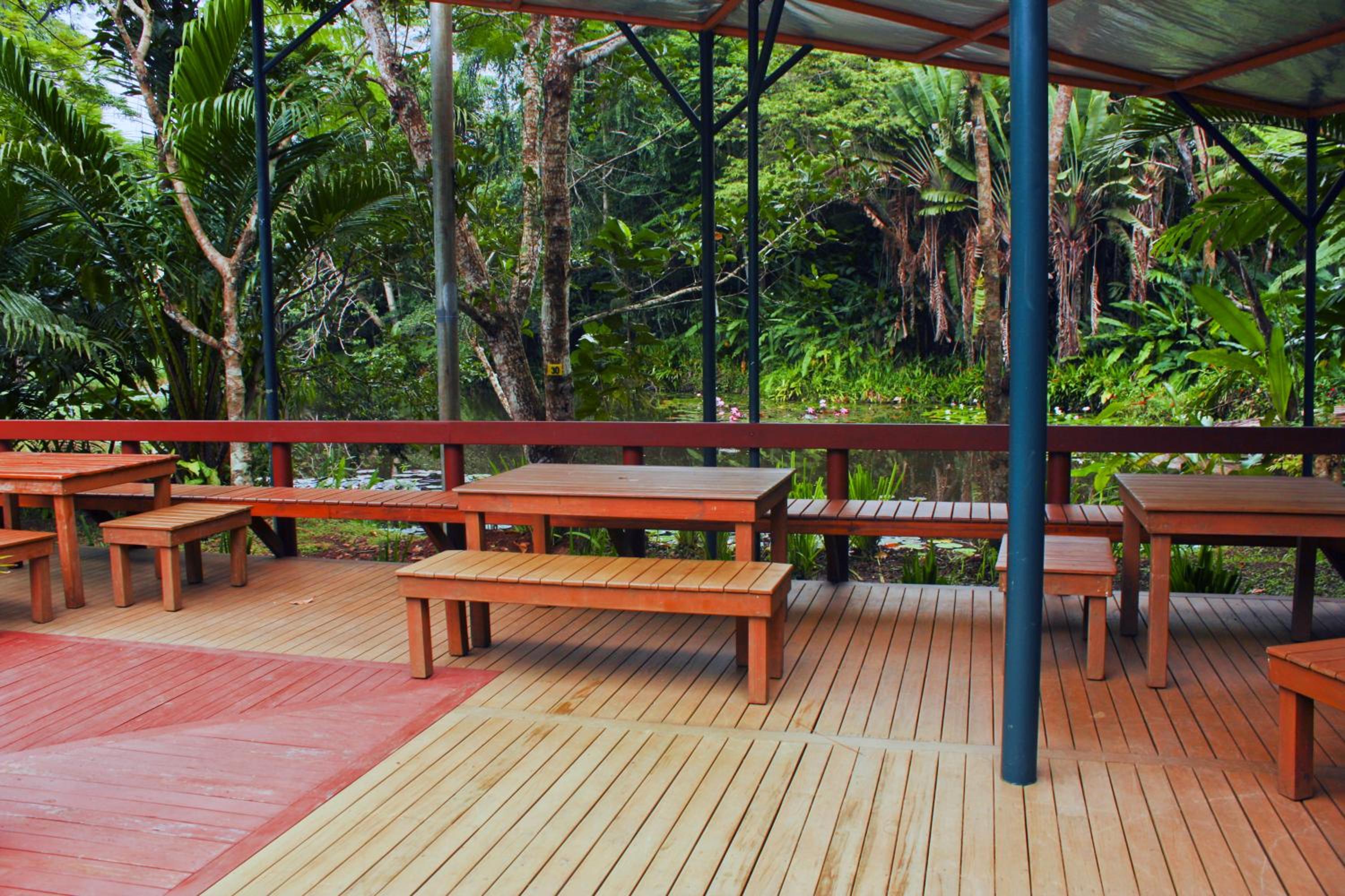 Rainforest Eco Lodge