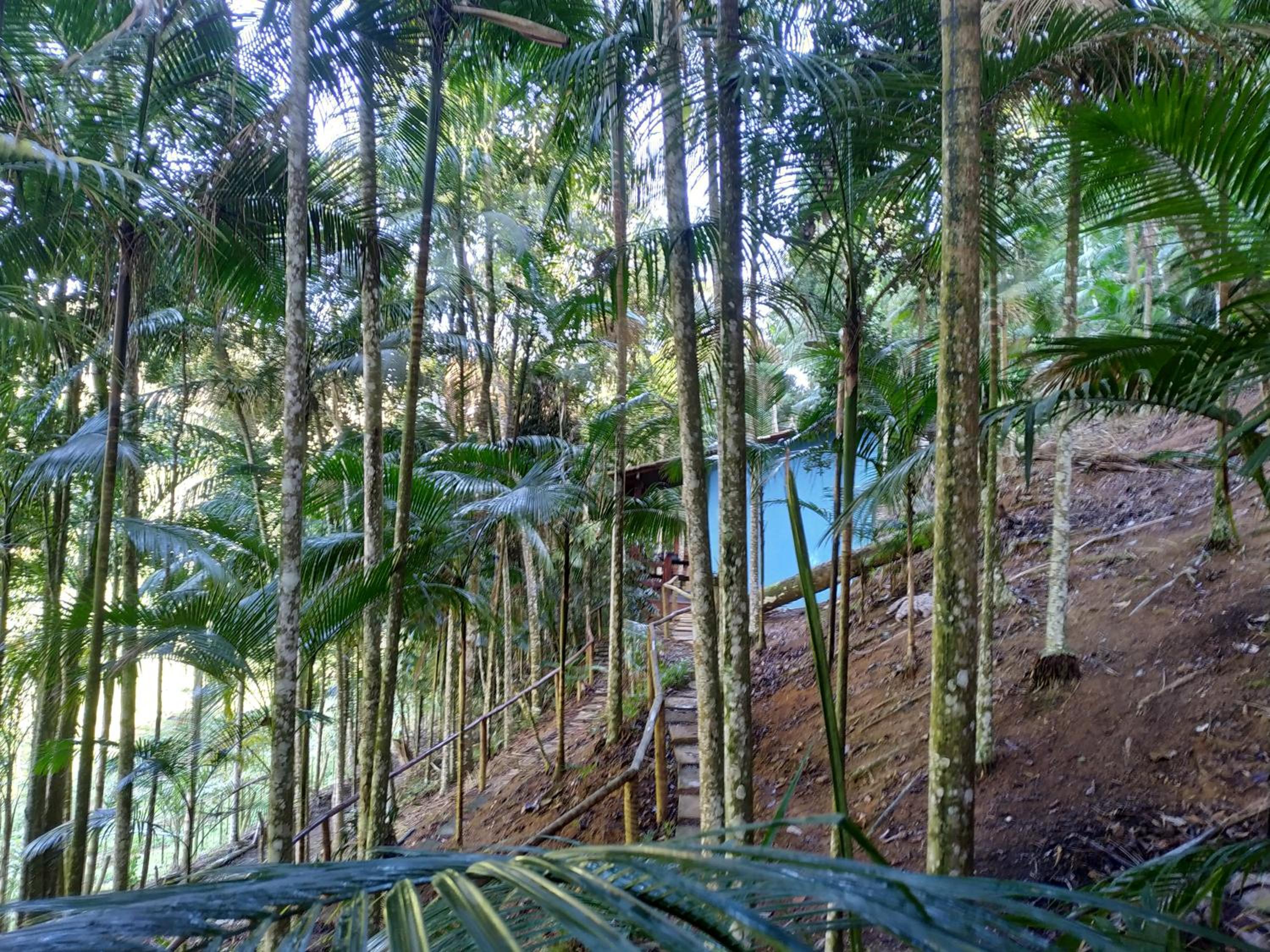 Pousada do guariba