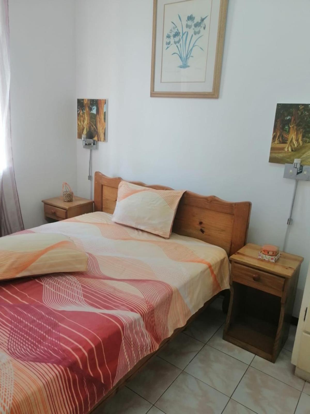 Roommate for rent in flic en flac view 4
