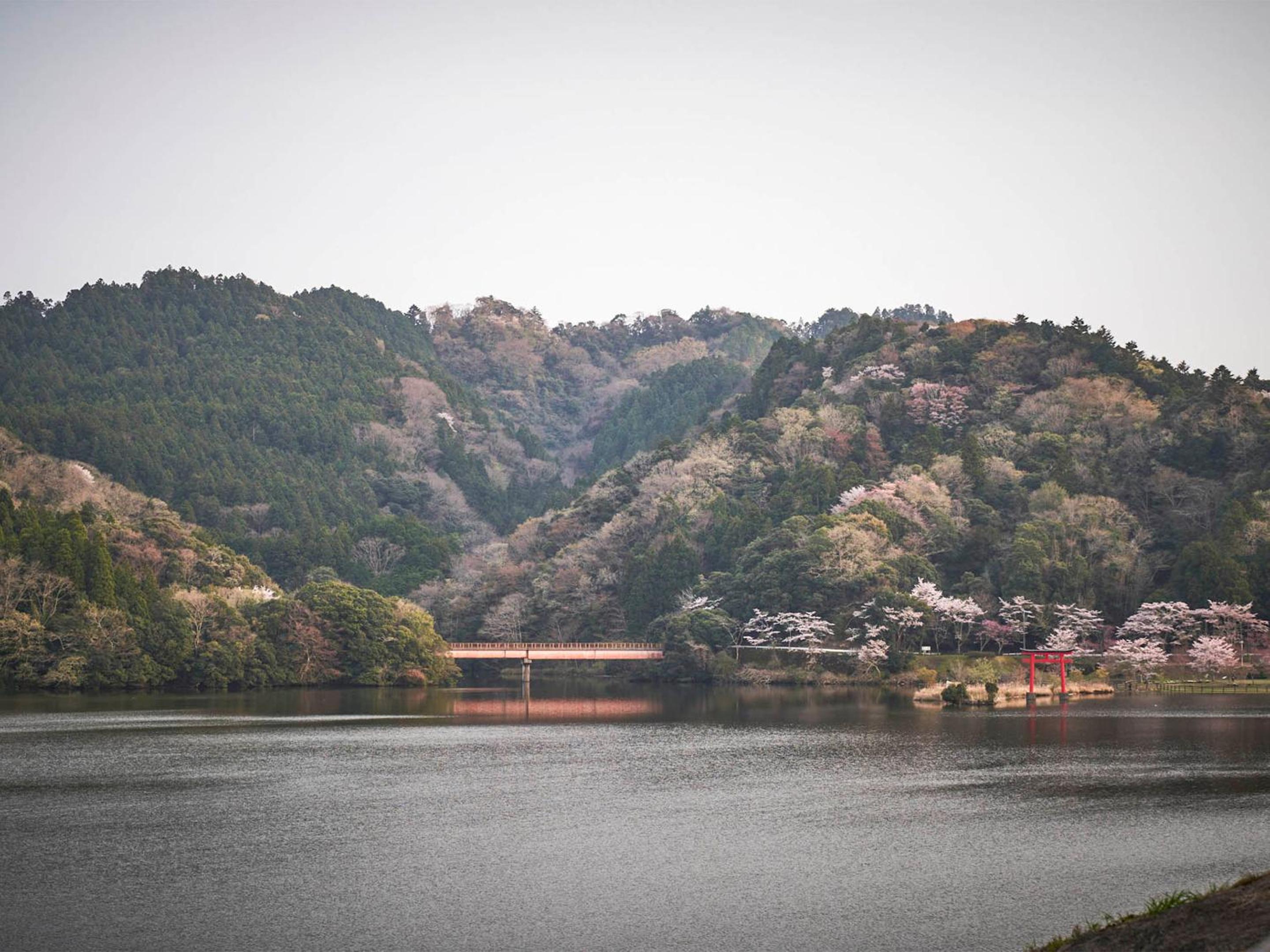 Kameyama Onsen Hotel