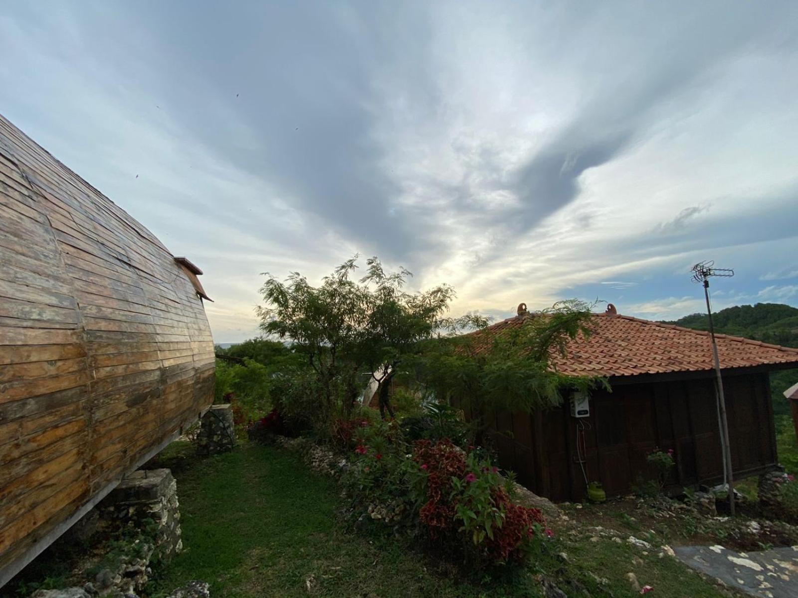 Photo 44