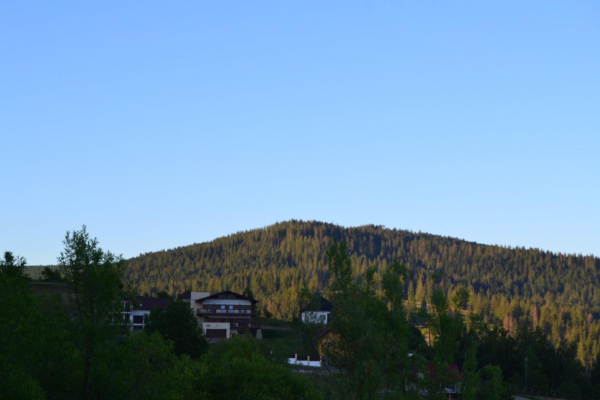 Chalet First Hill