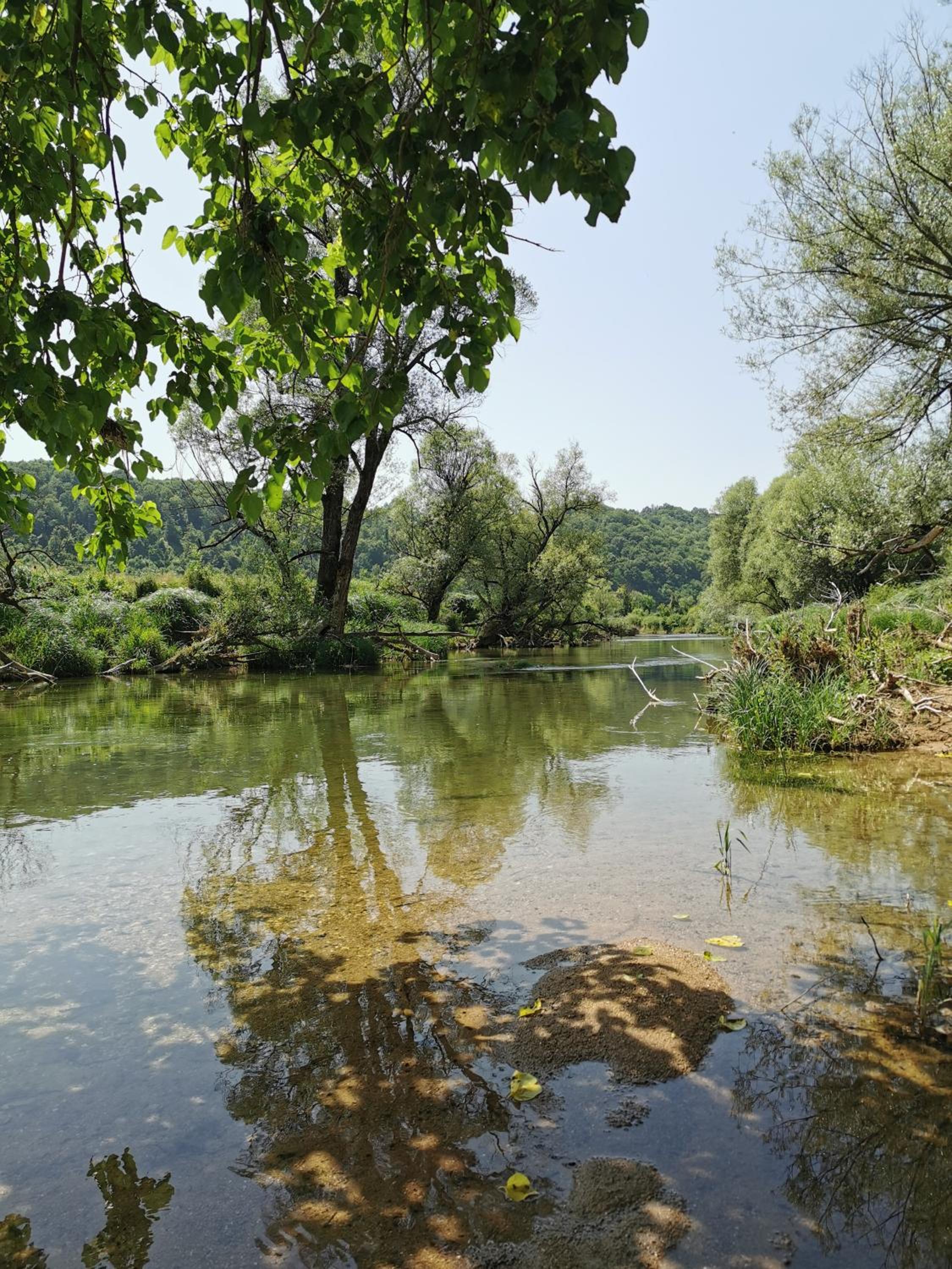 Photo 42