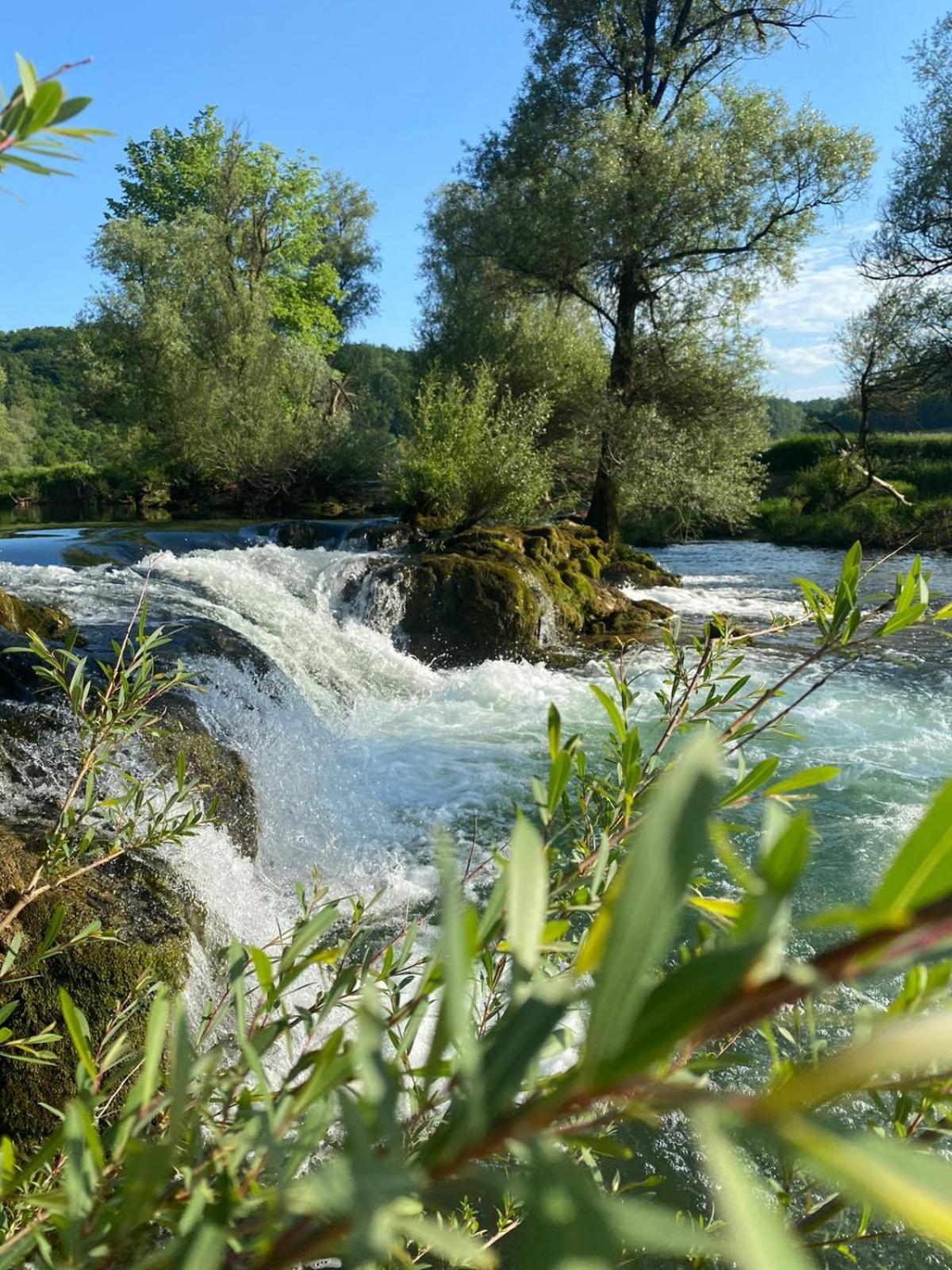 Photo 41
