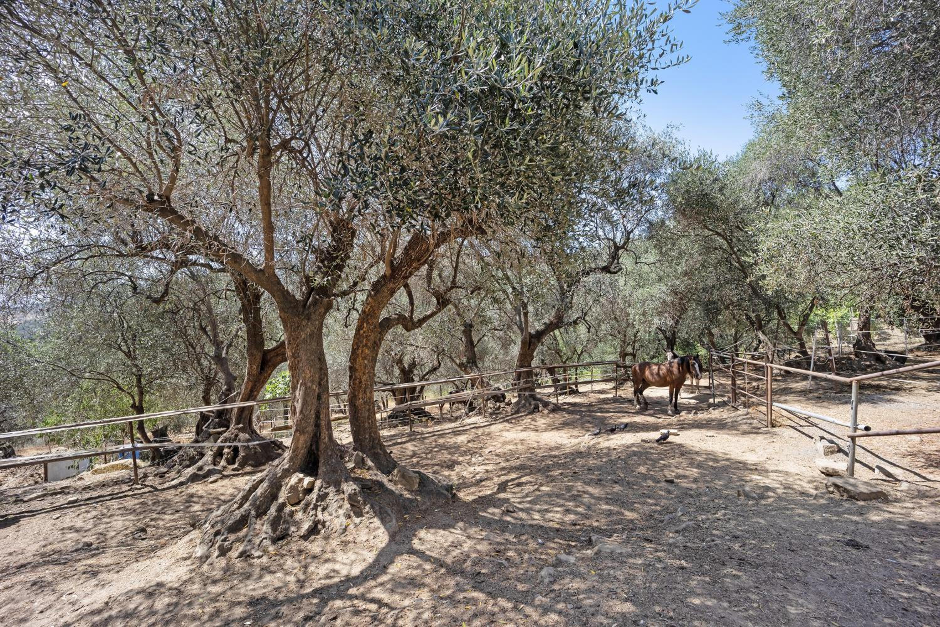 La Colombiera photo 4