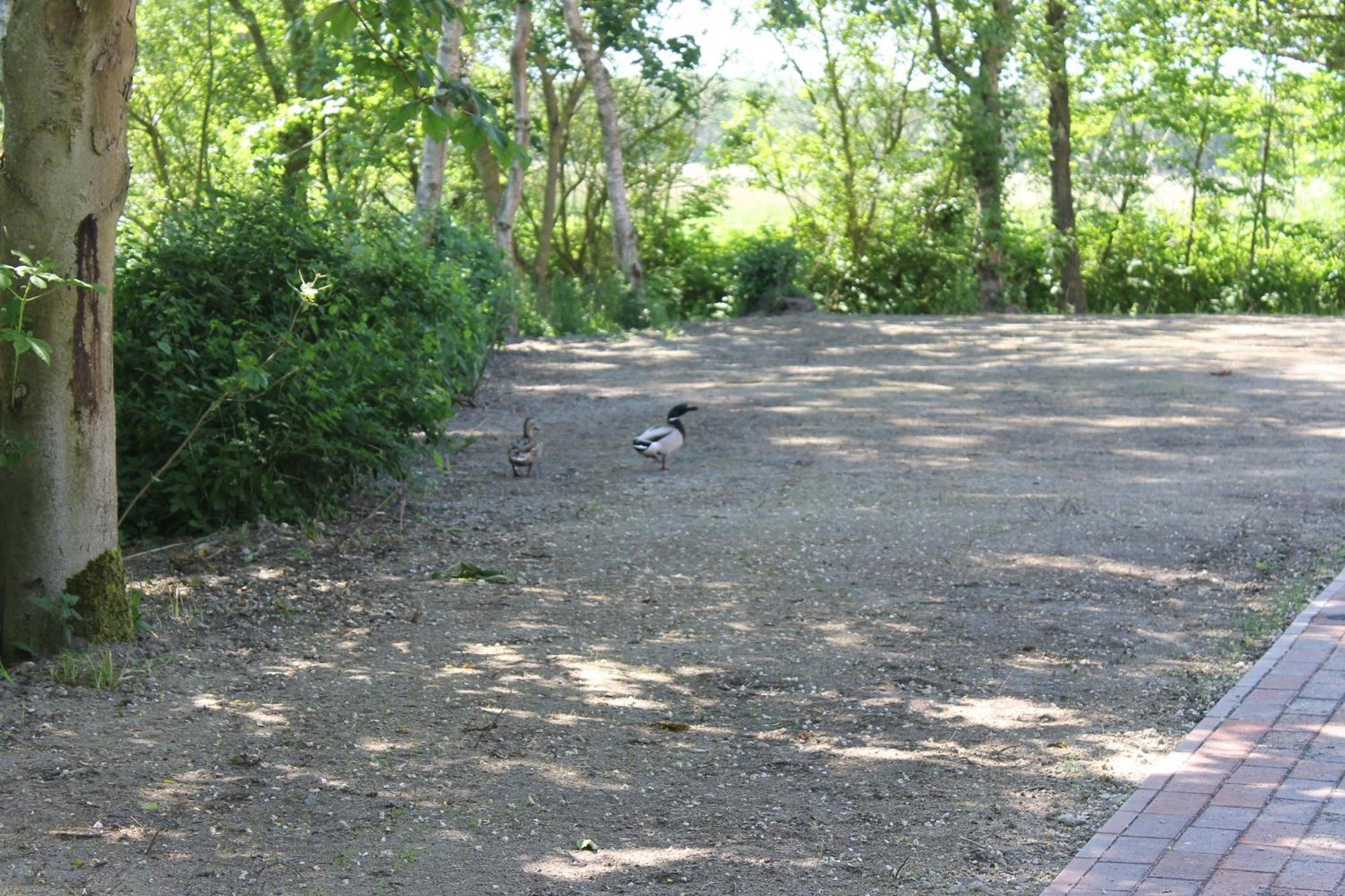 Photo 22
