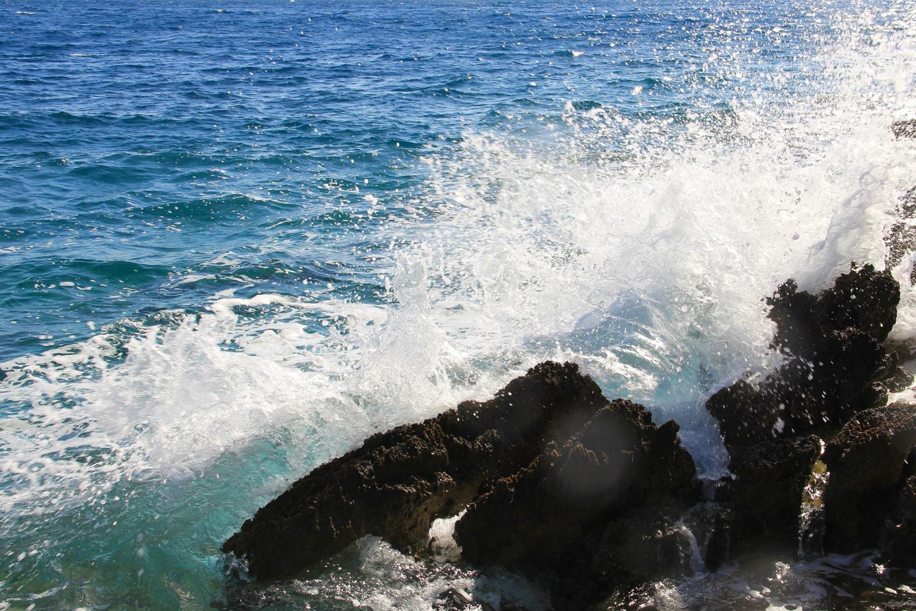 Photo 45