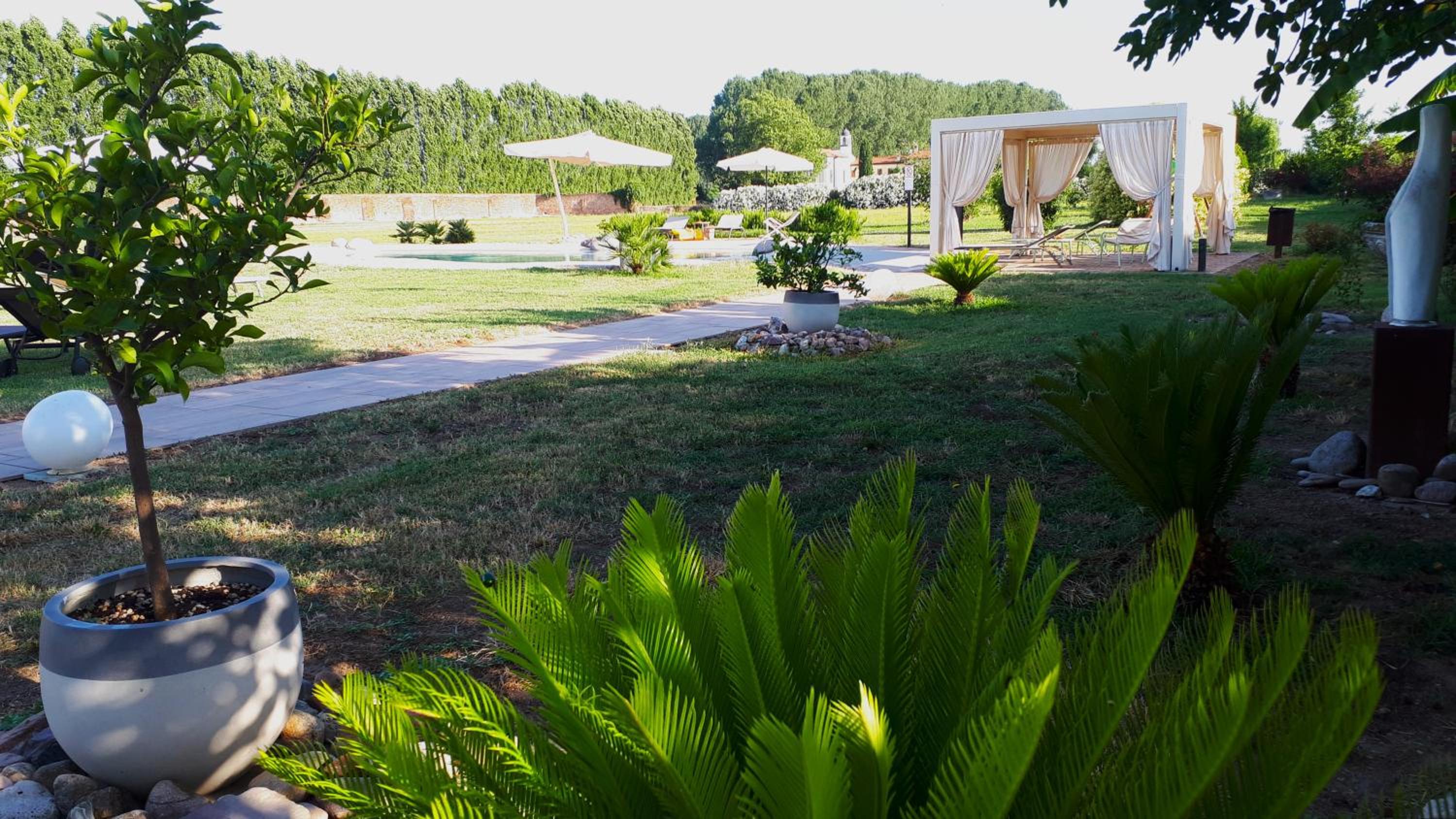 Photo 12