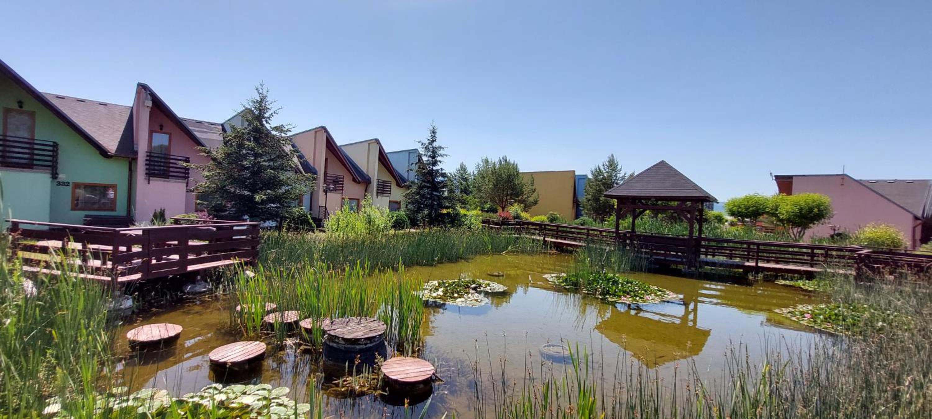 Photo 44
