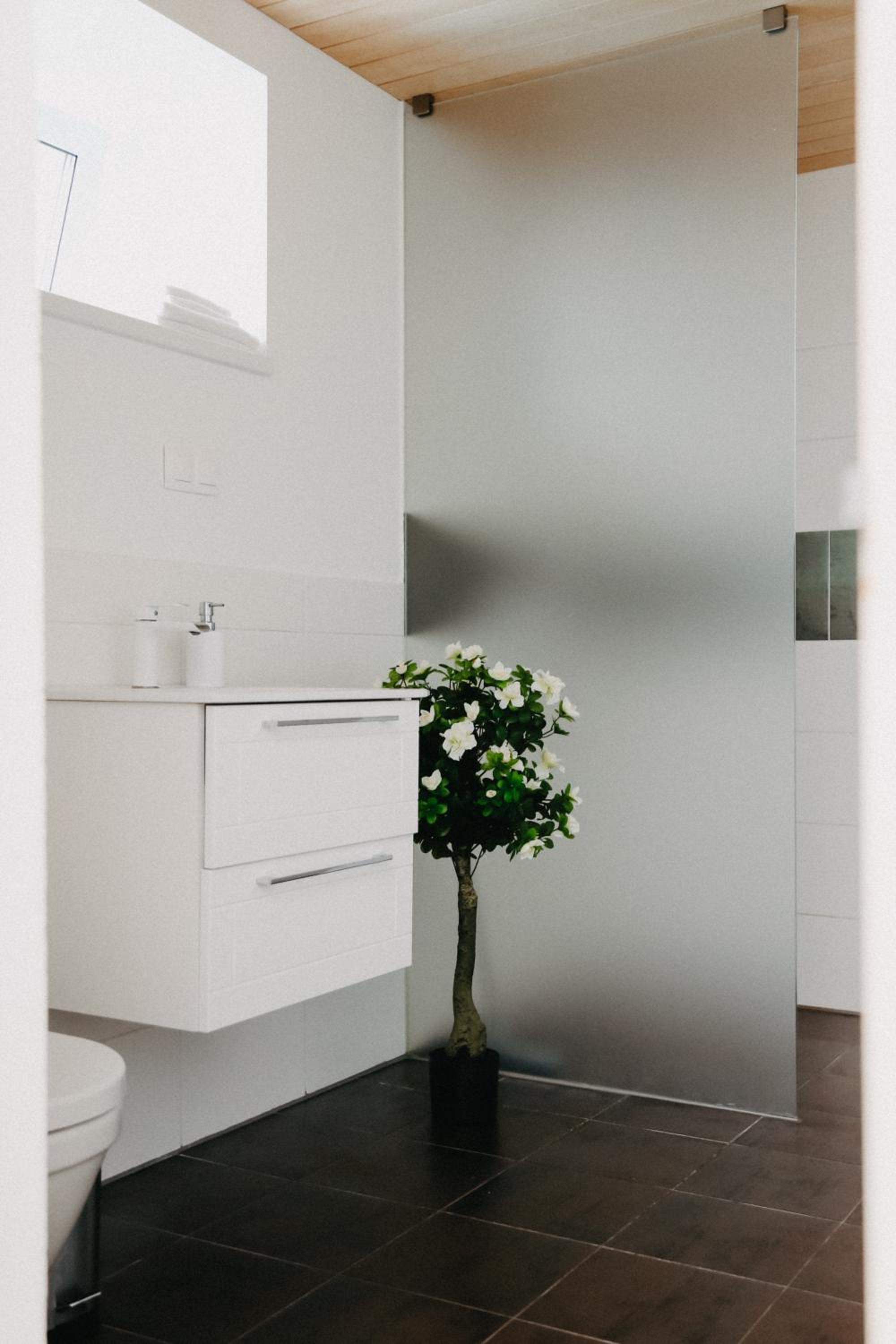 Vesiroos Apartment - Free parking