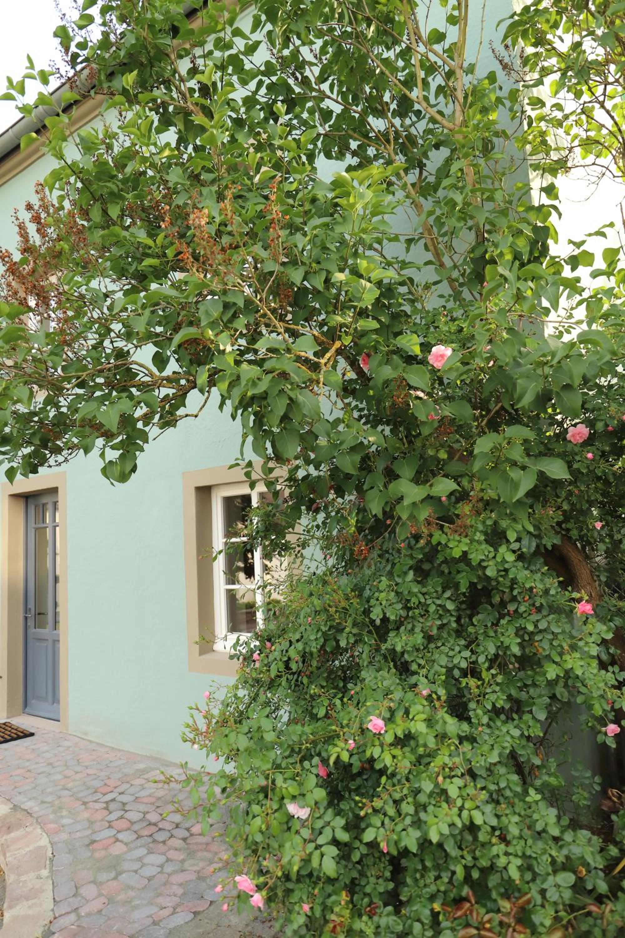 Nengshof Ferienwohnungen Pusteblume und Butterblume