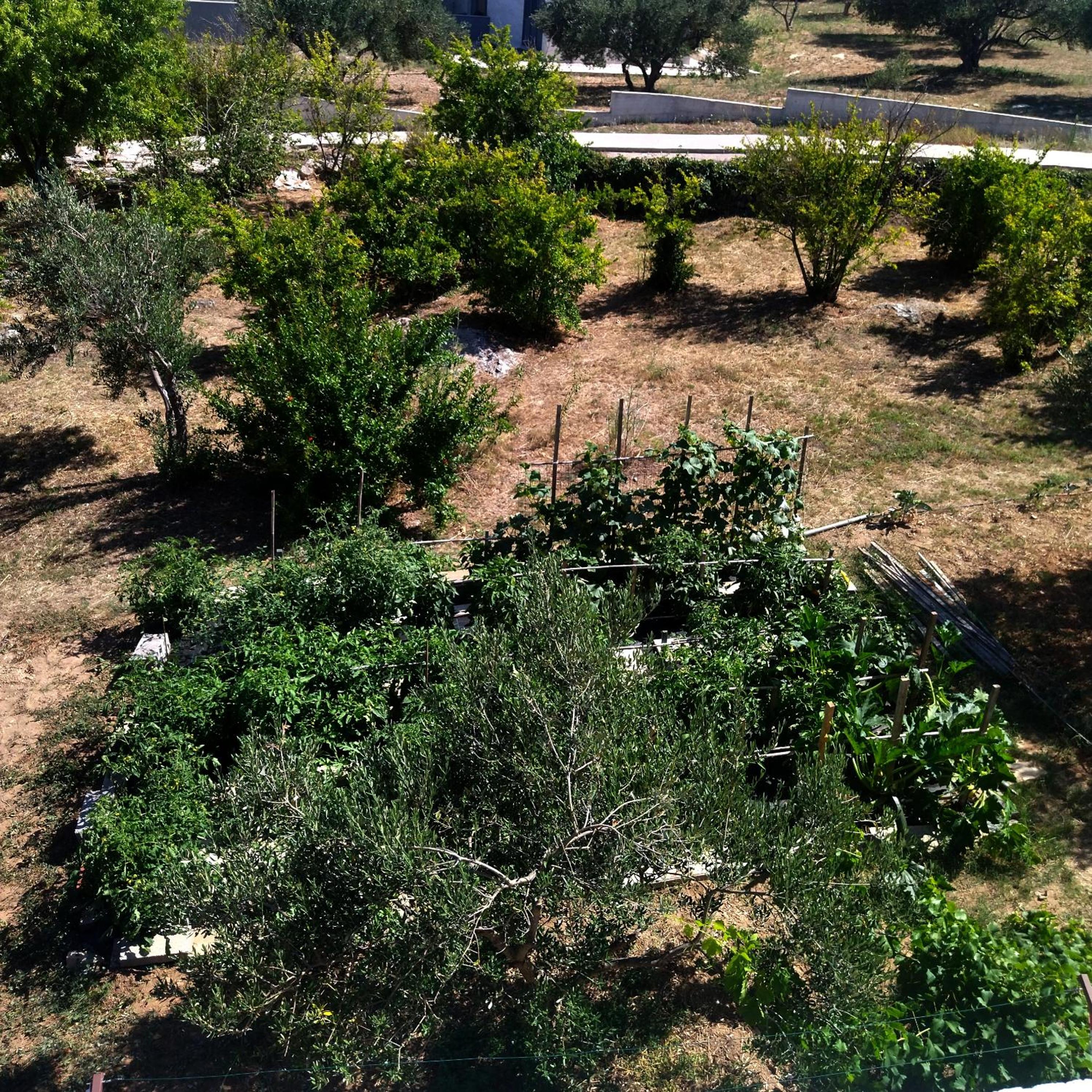 Photo 15