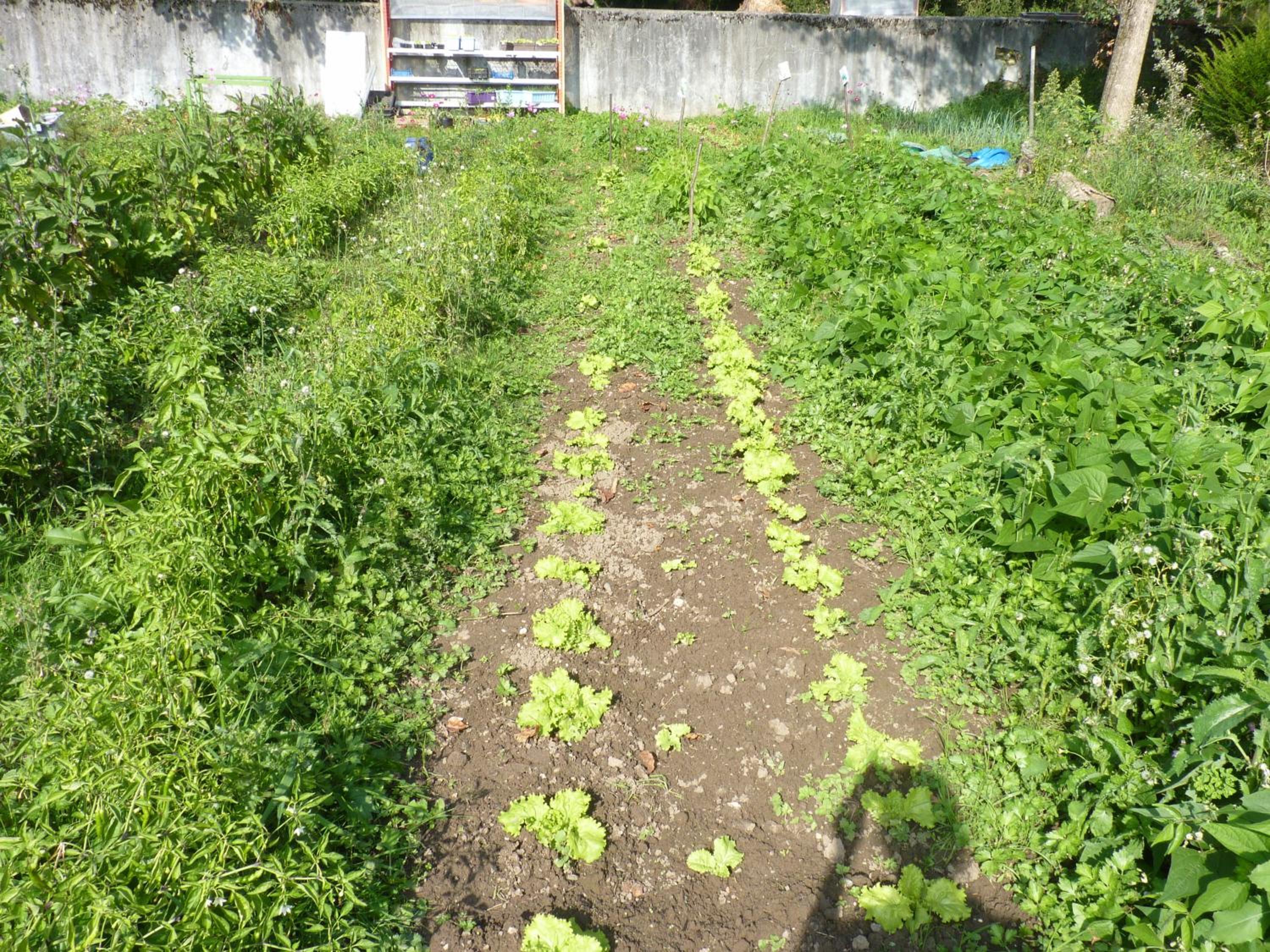 Photo 30