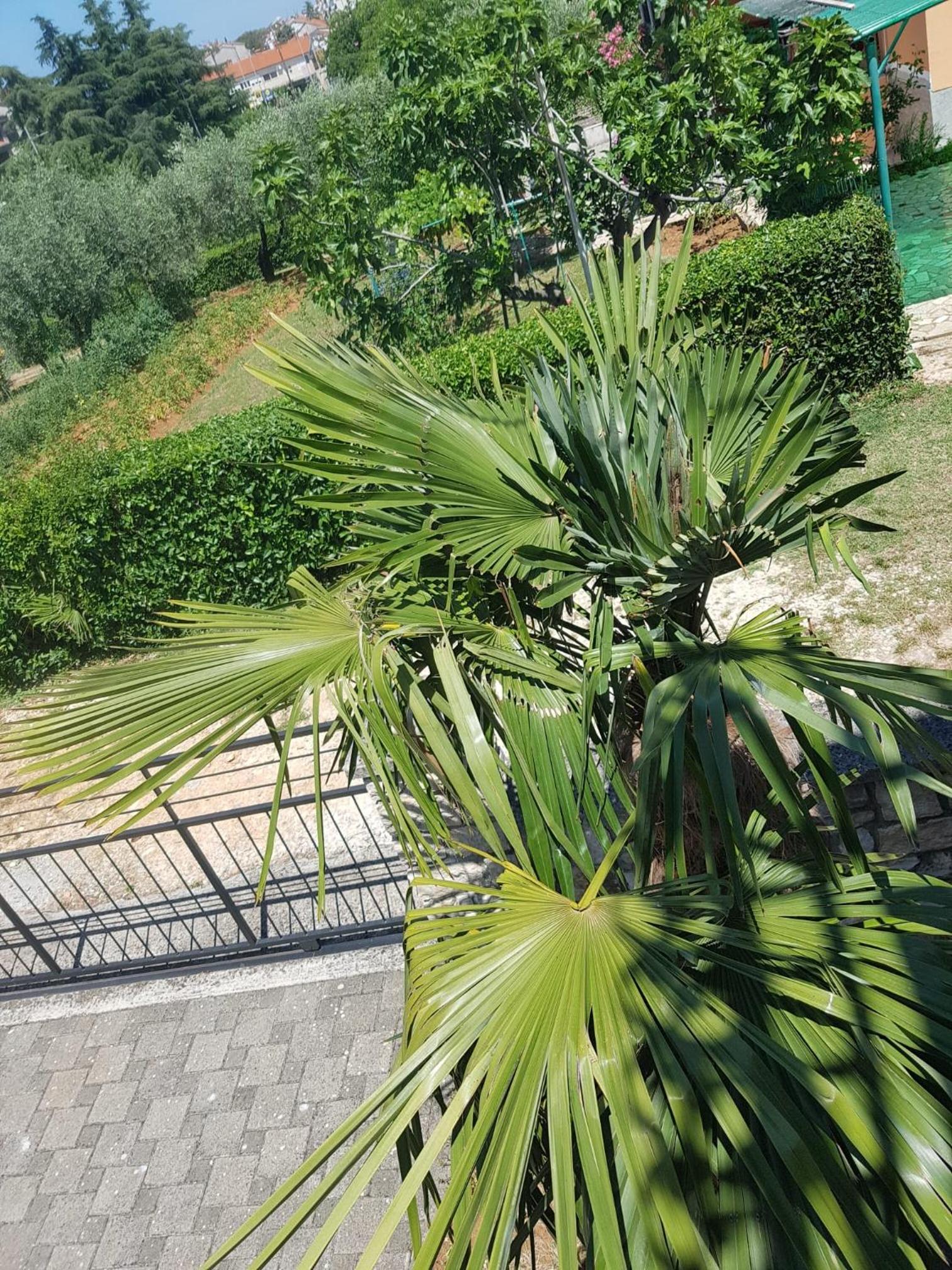 Apartment mit Balkon