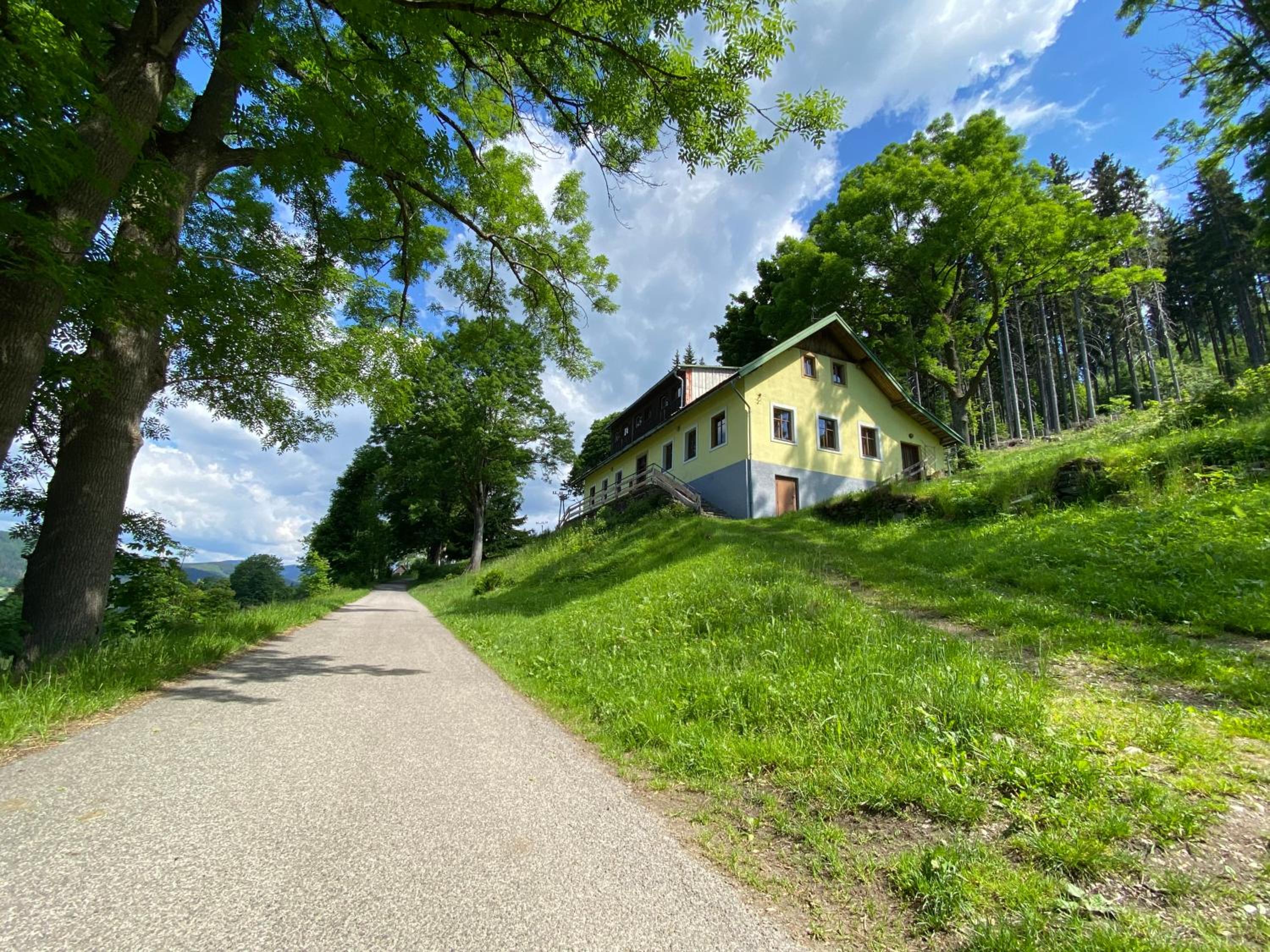 Photo 46
