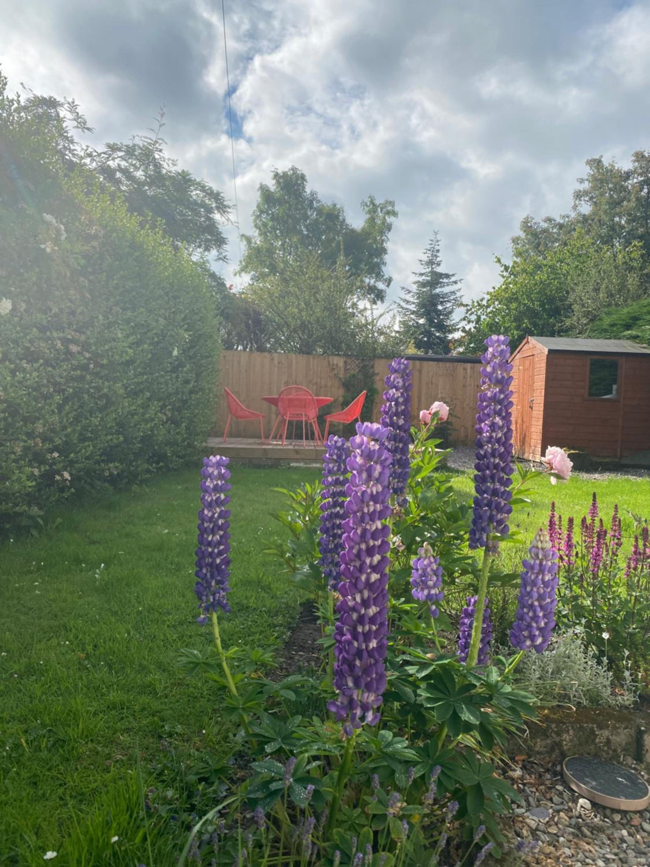 Charming Cardoon Cottage in beautiful village view 4