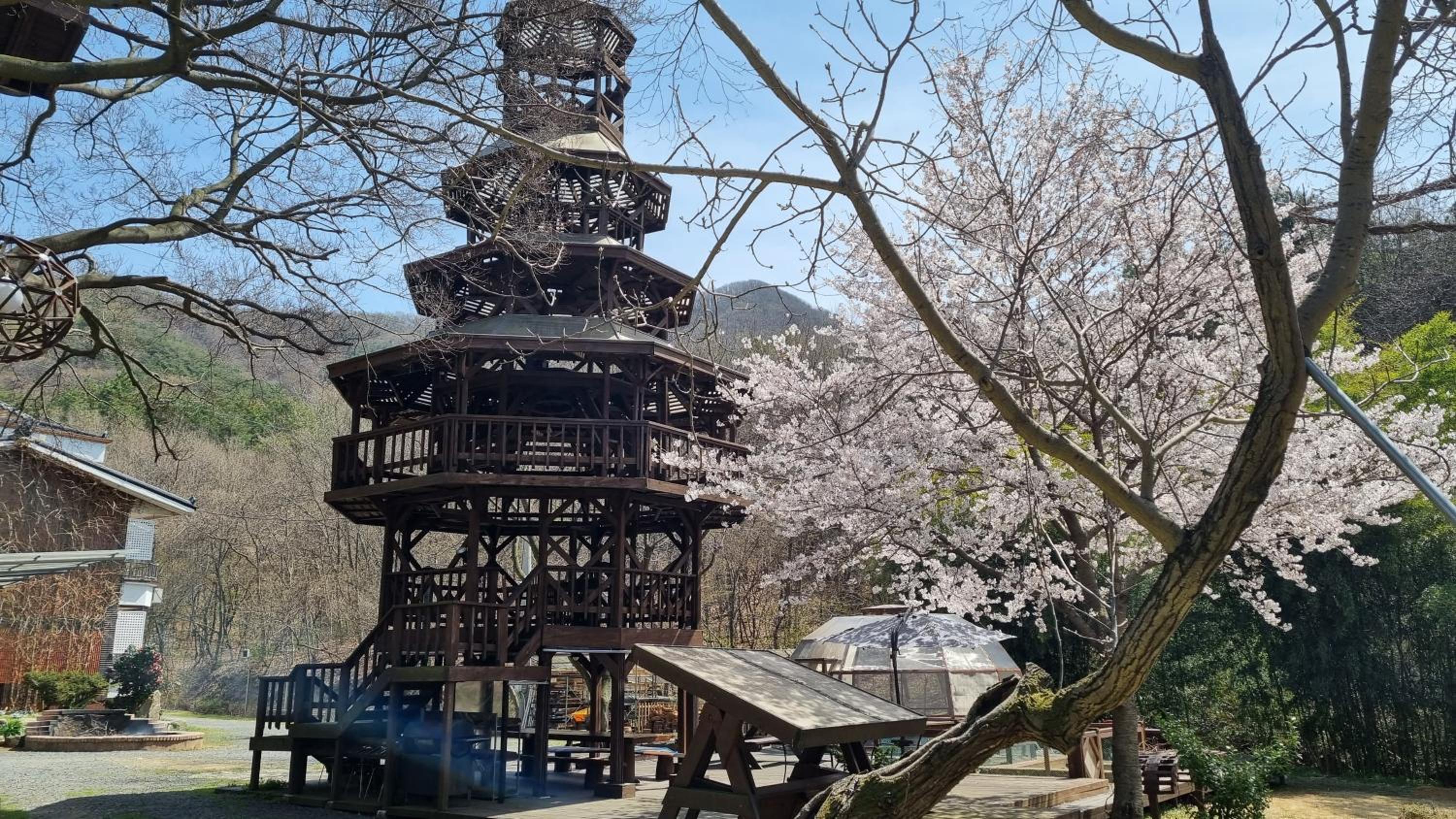 Moon-hyo House 1, 보령시 - 21