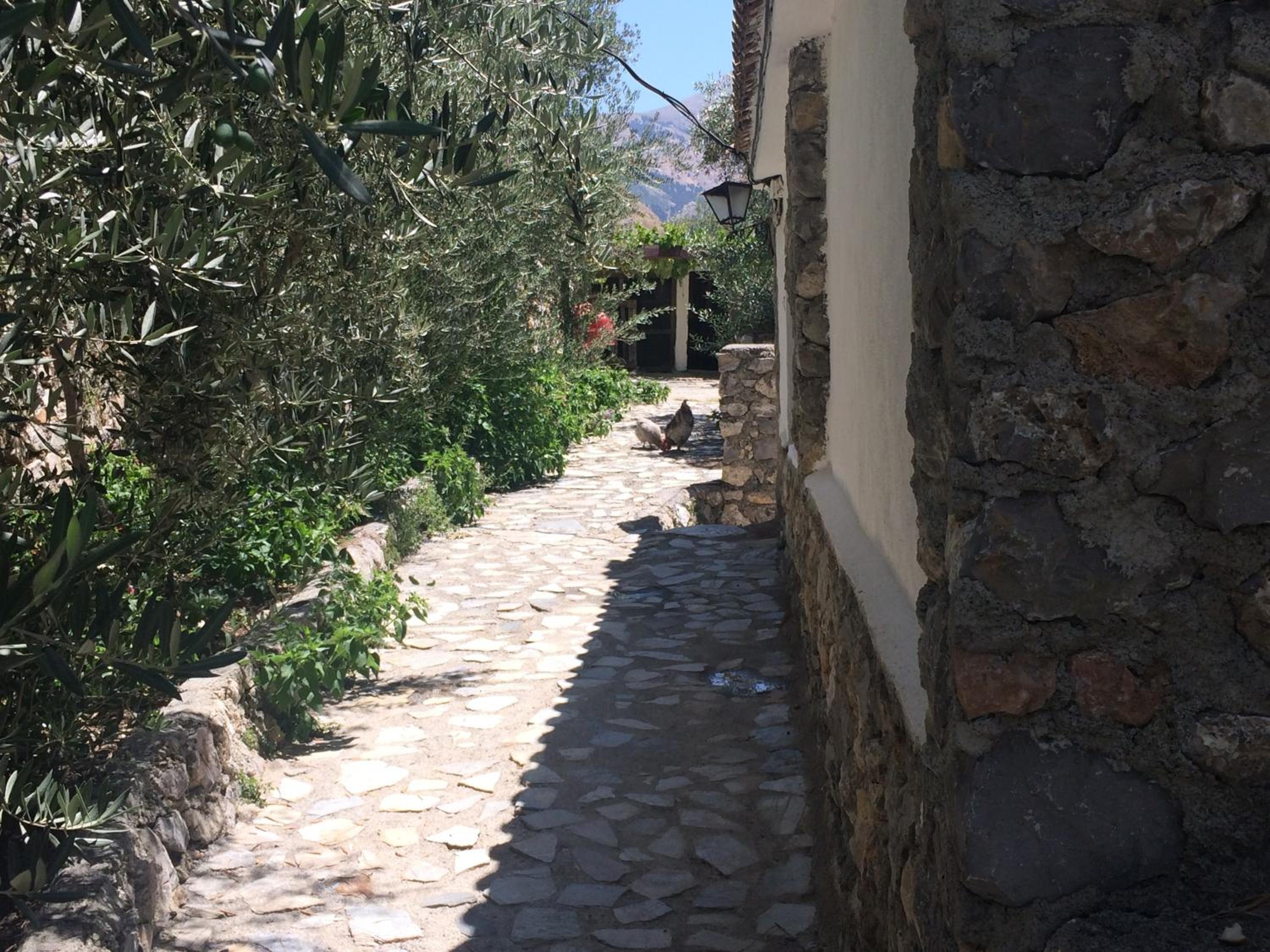 Cortijo La Solana