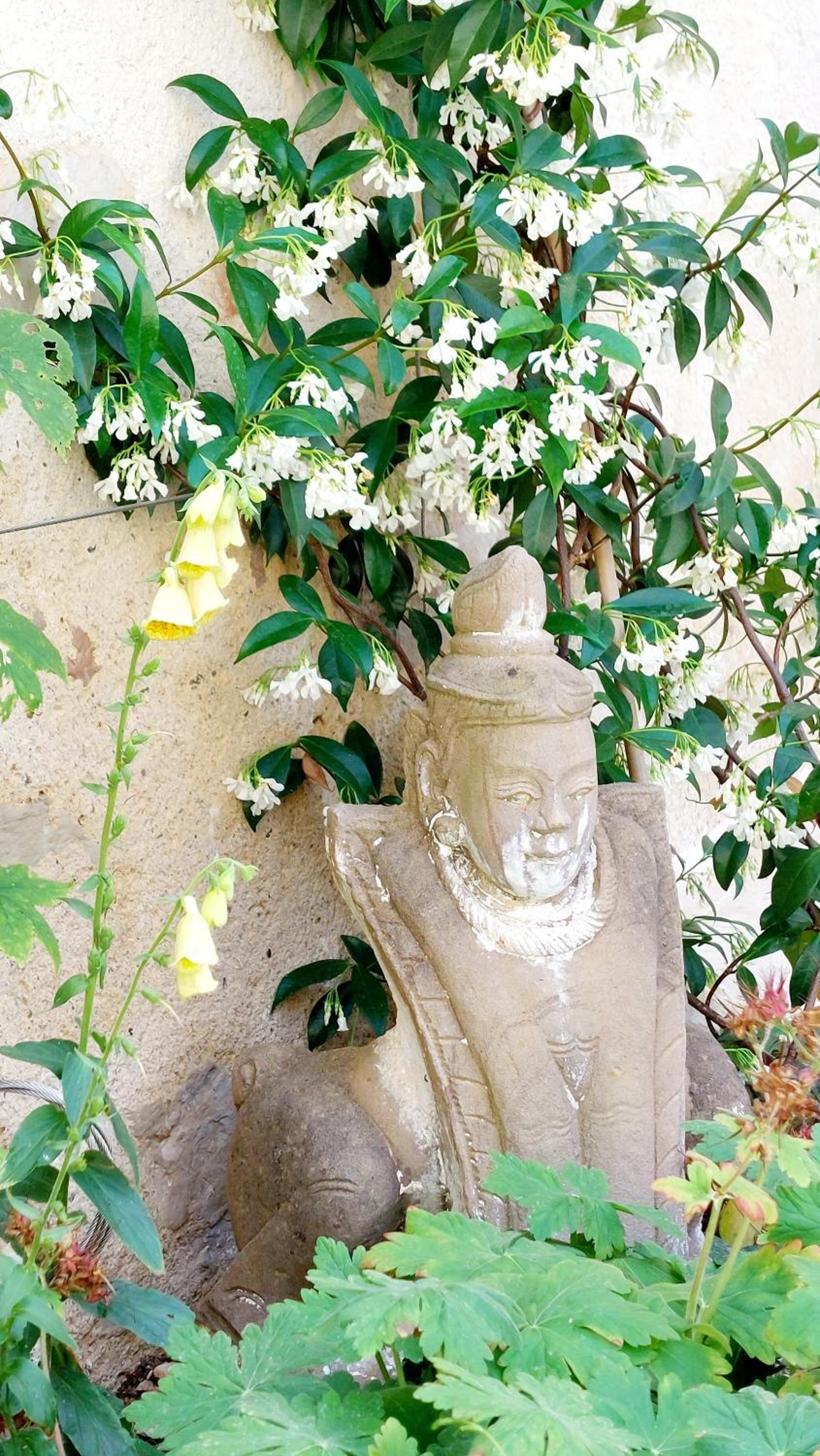 Photo 16