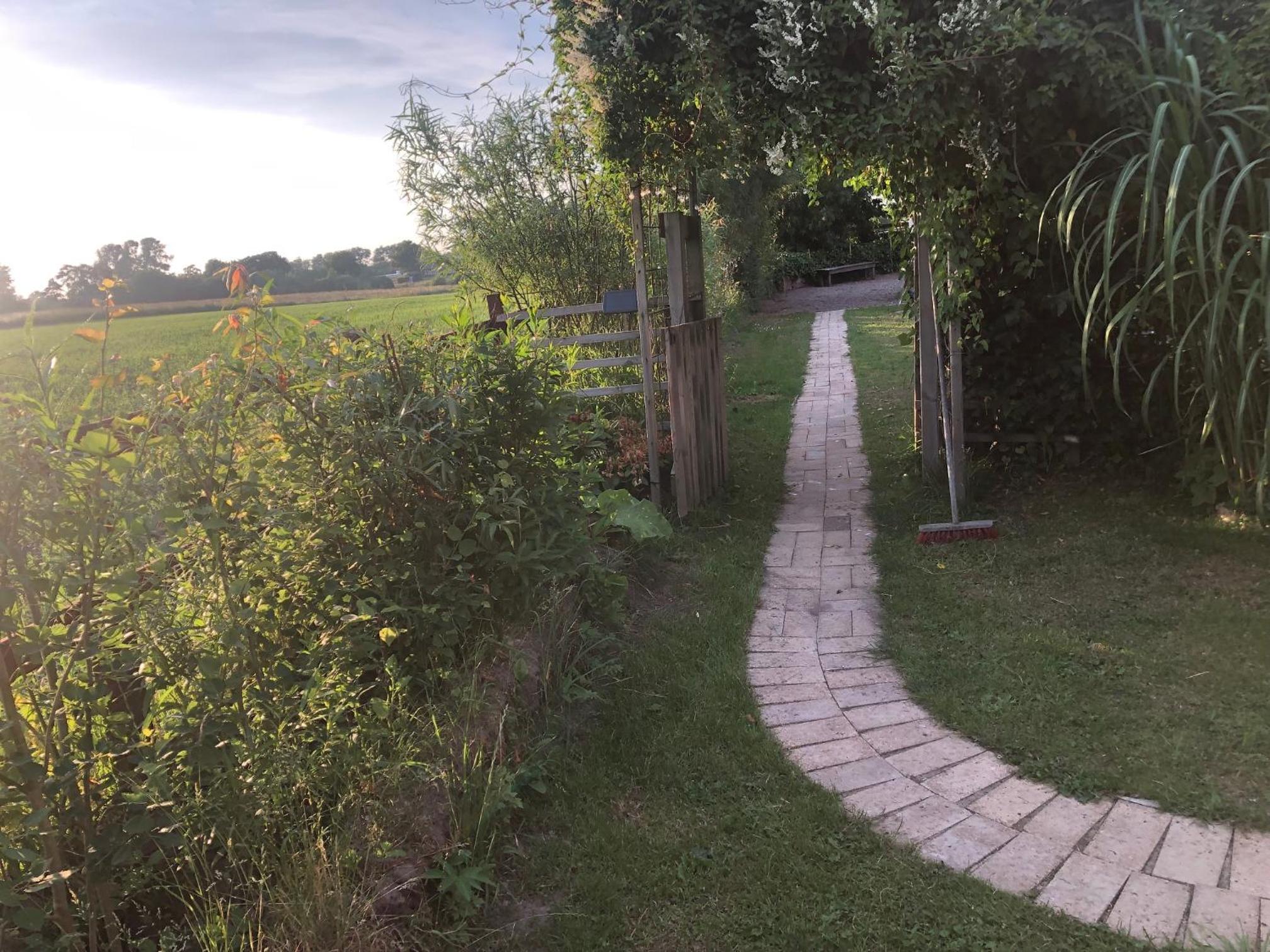 Photo 6
