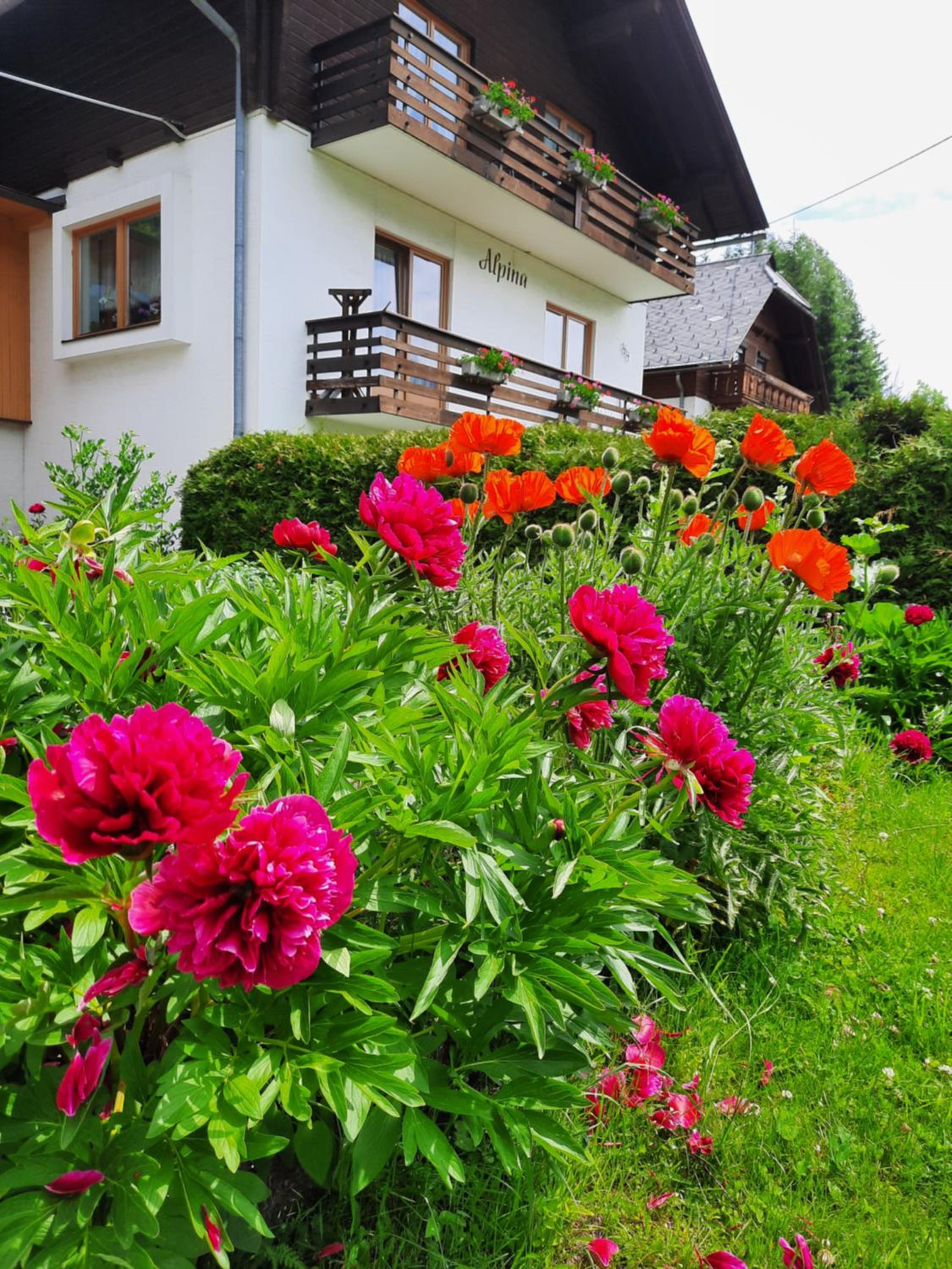 Haus Alpina view 2