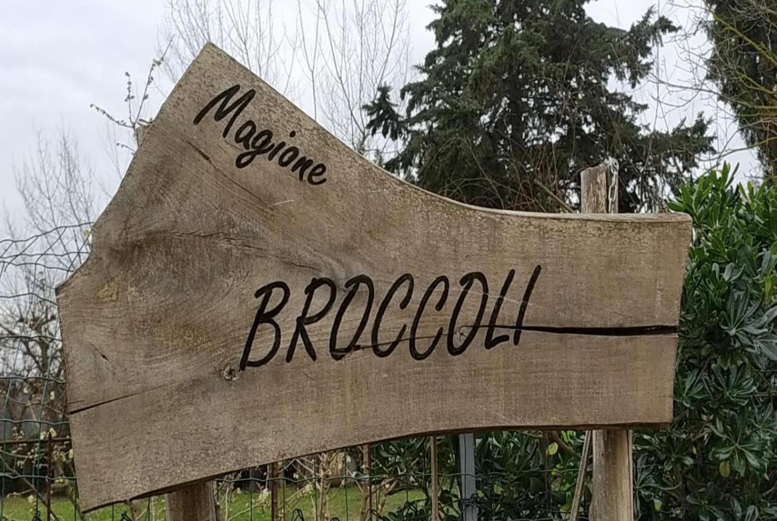 Magione Broccoli