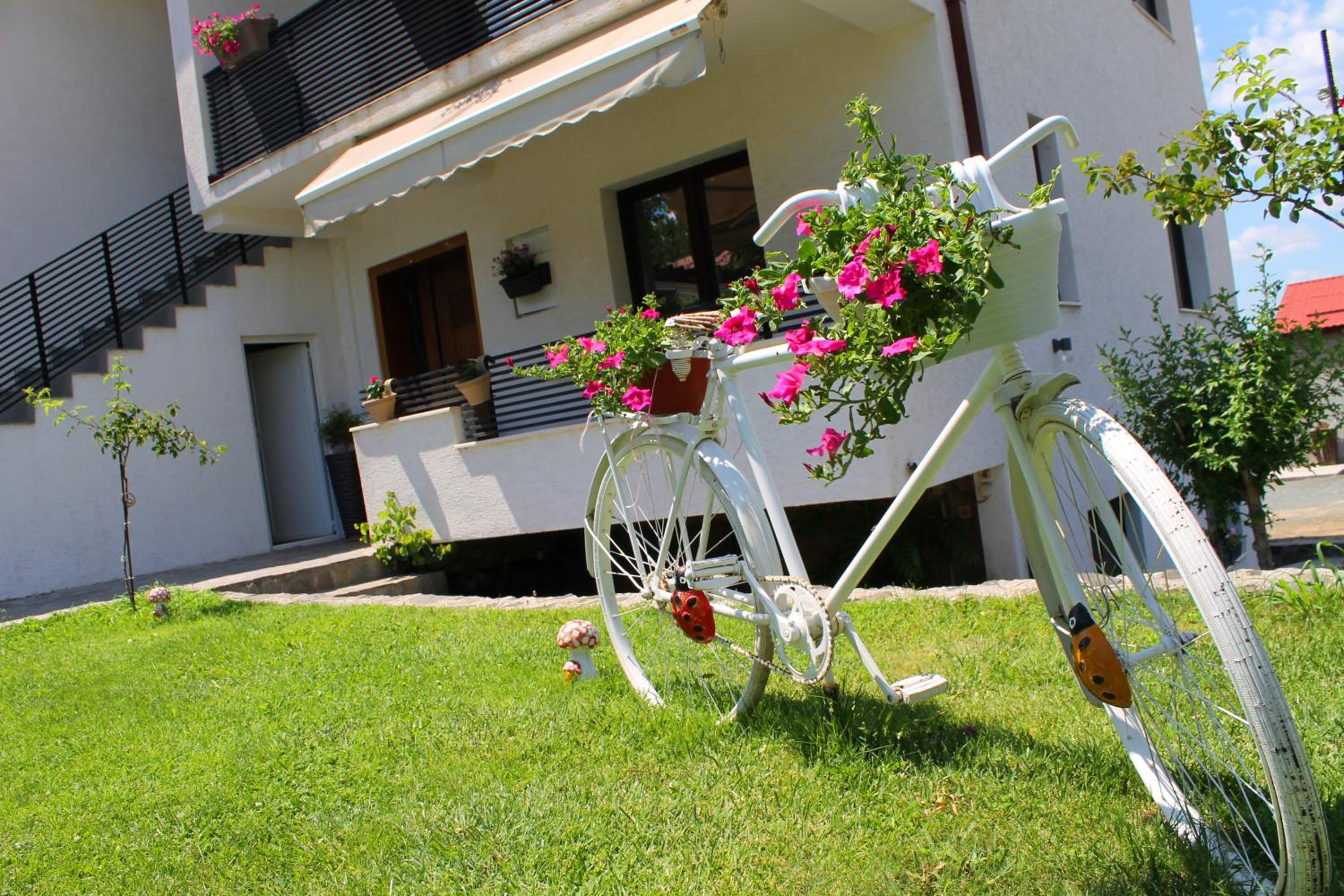 Belov Rooms and Apartments, photo 83