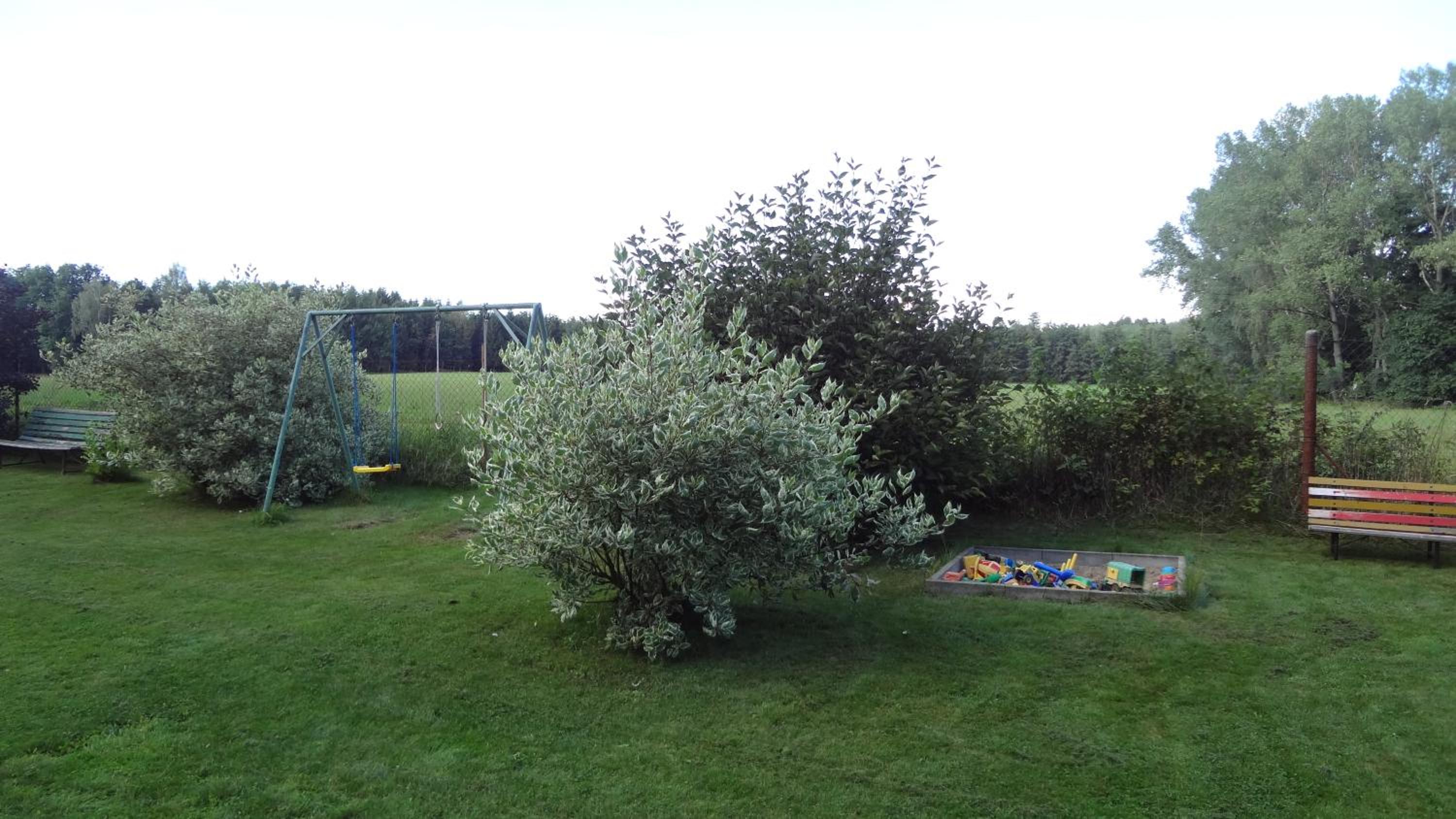 Photo 29