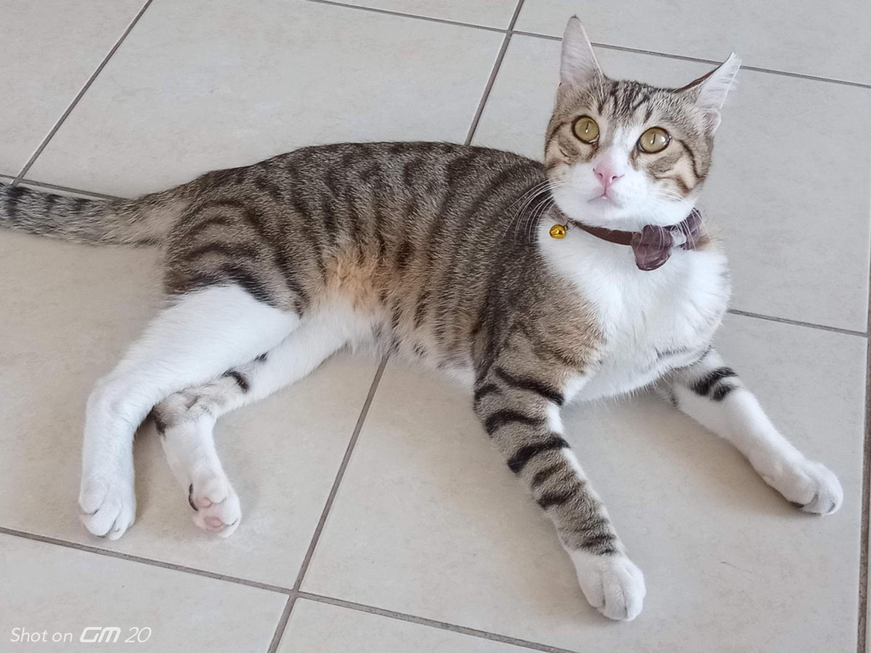 HZD Apartments Hostel - Image 83