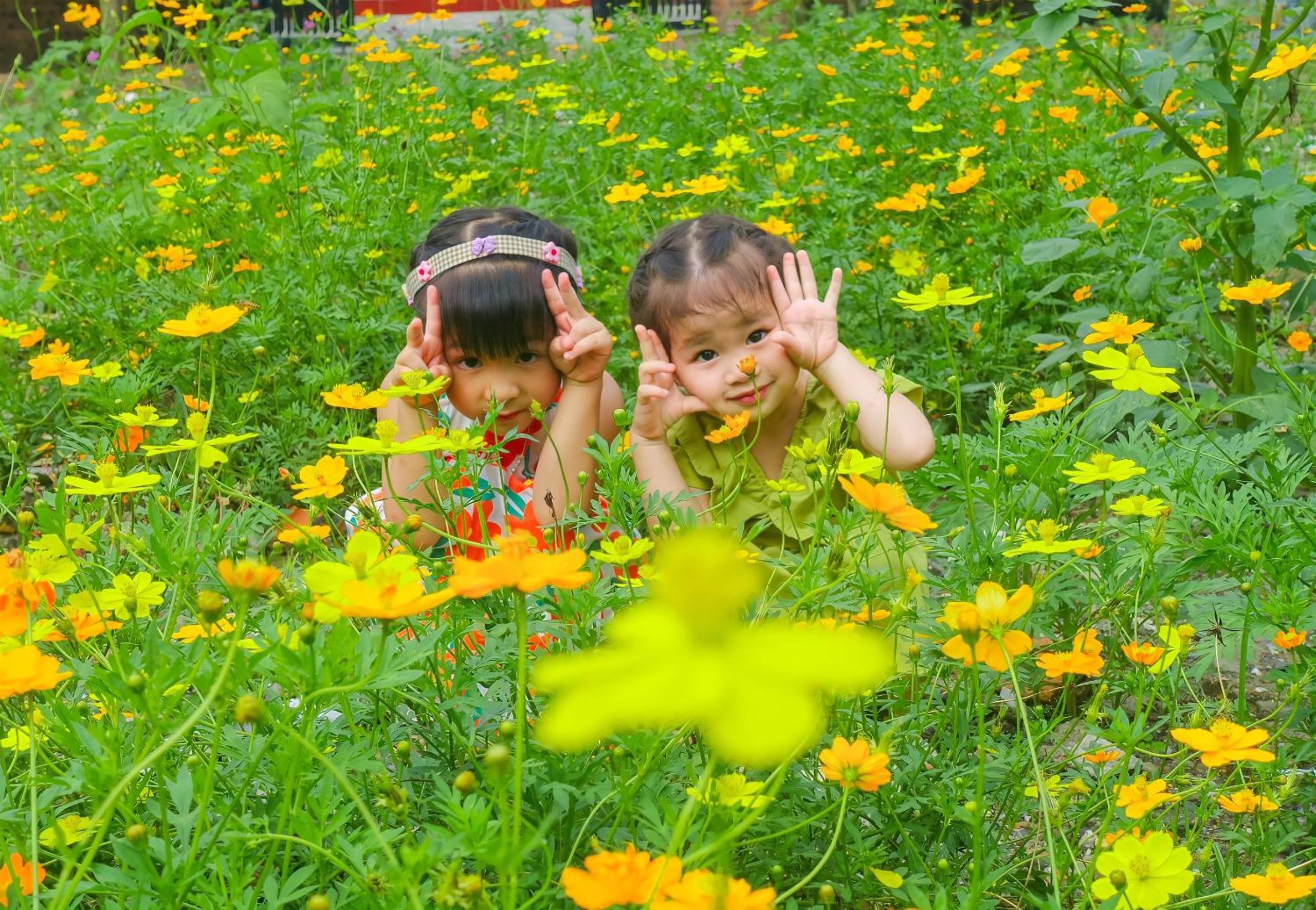 Ninh Binh Mountain Side Homestay & Cafe