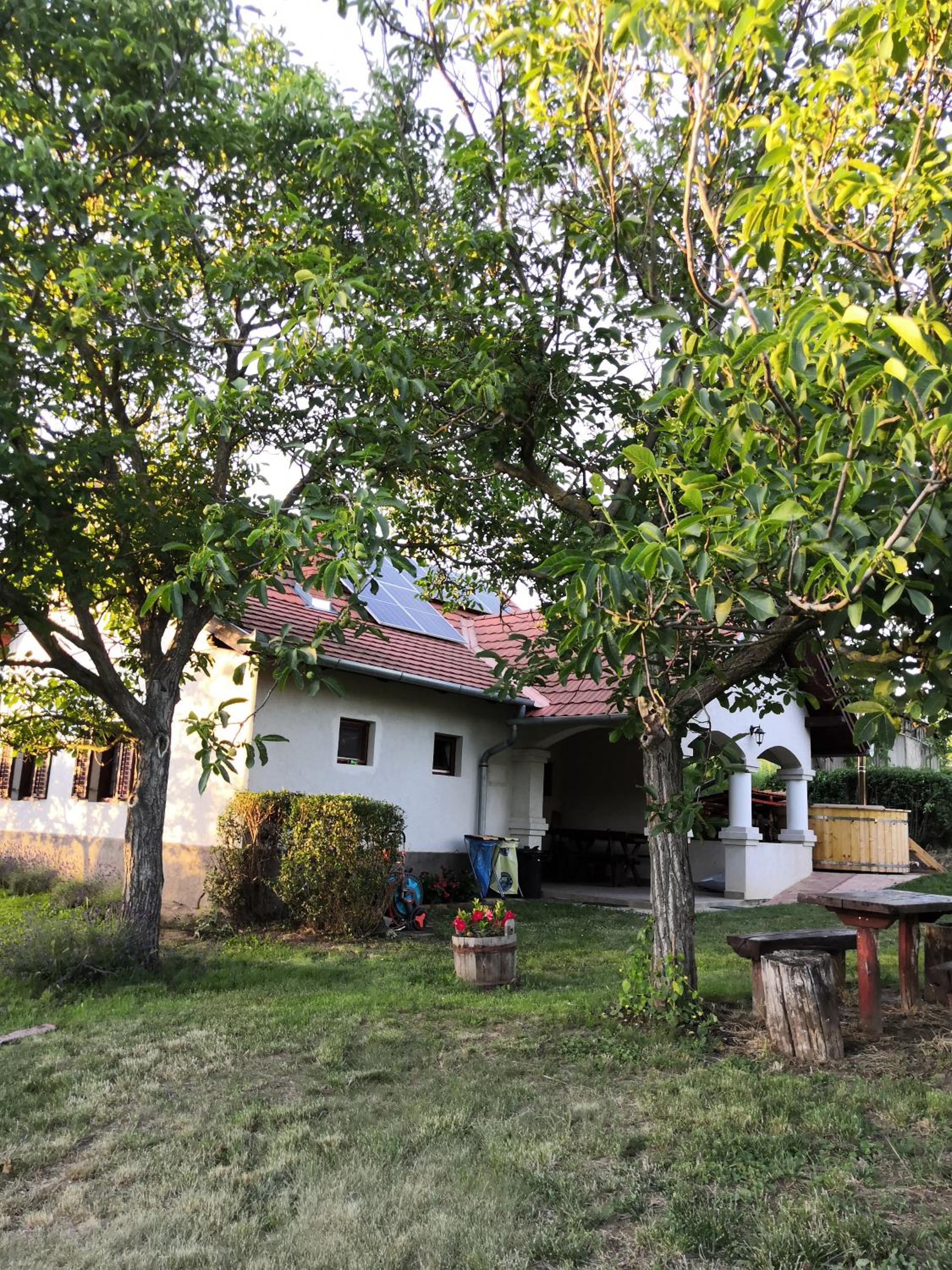 Photo 17