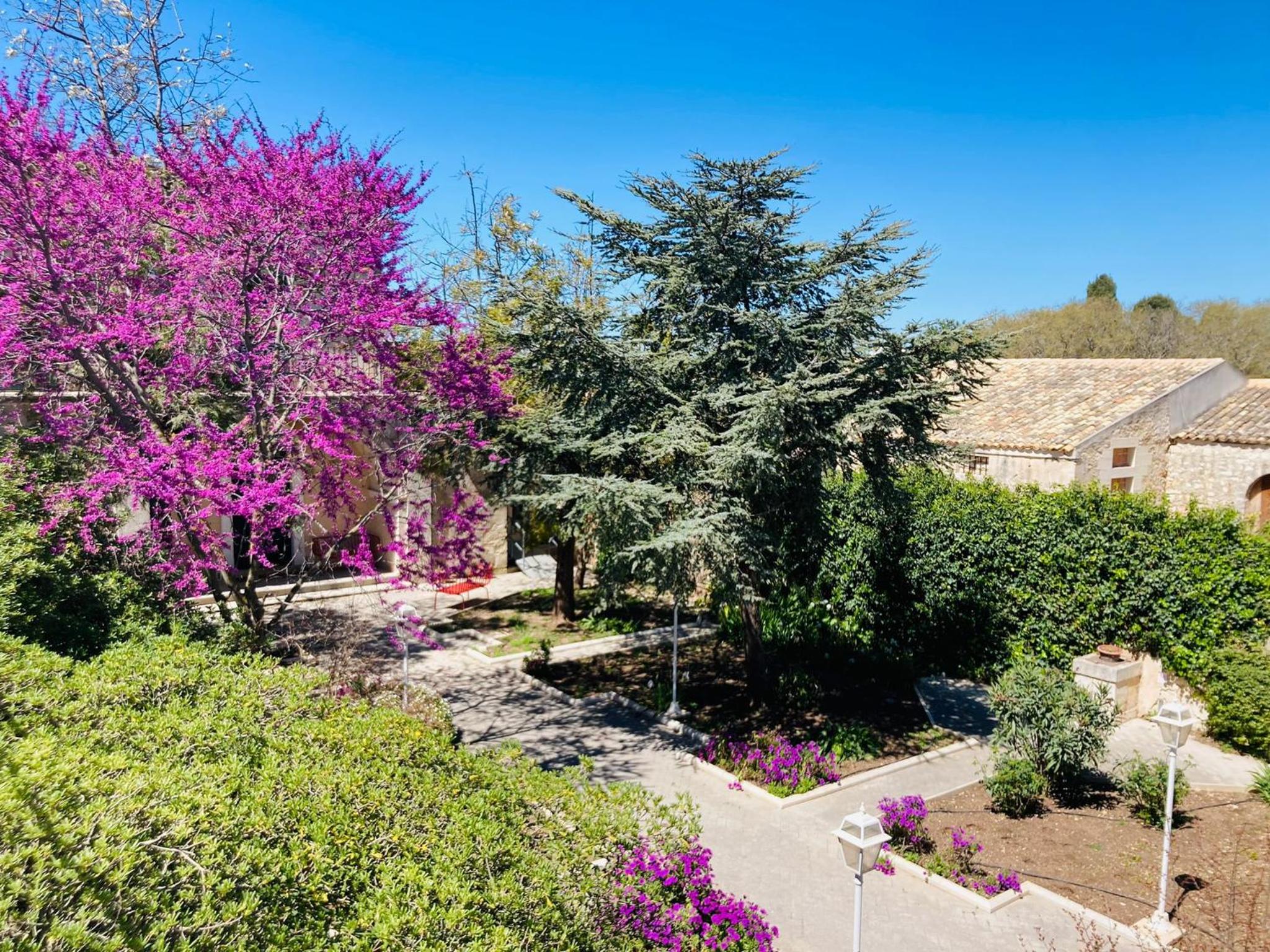 Villa Polara photo 5