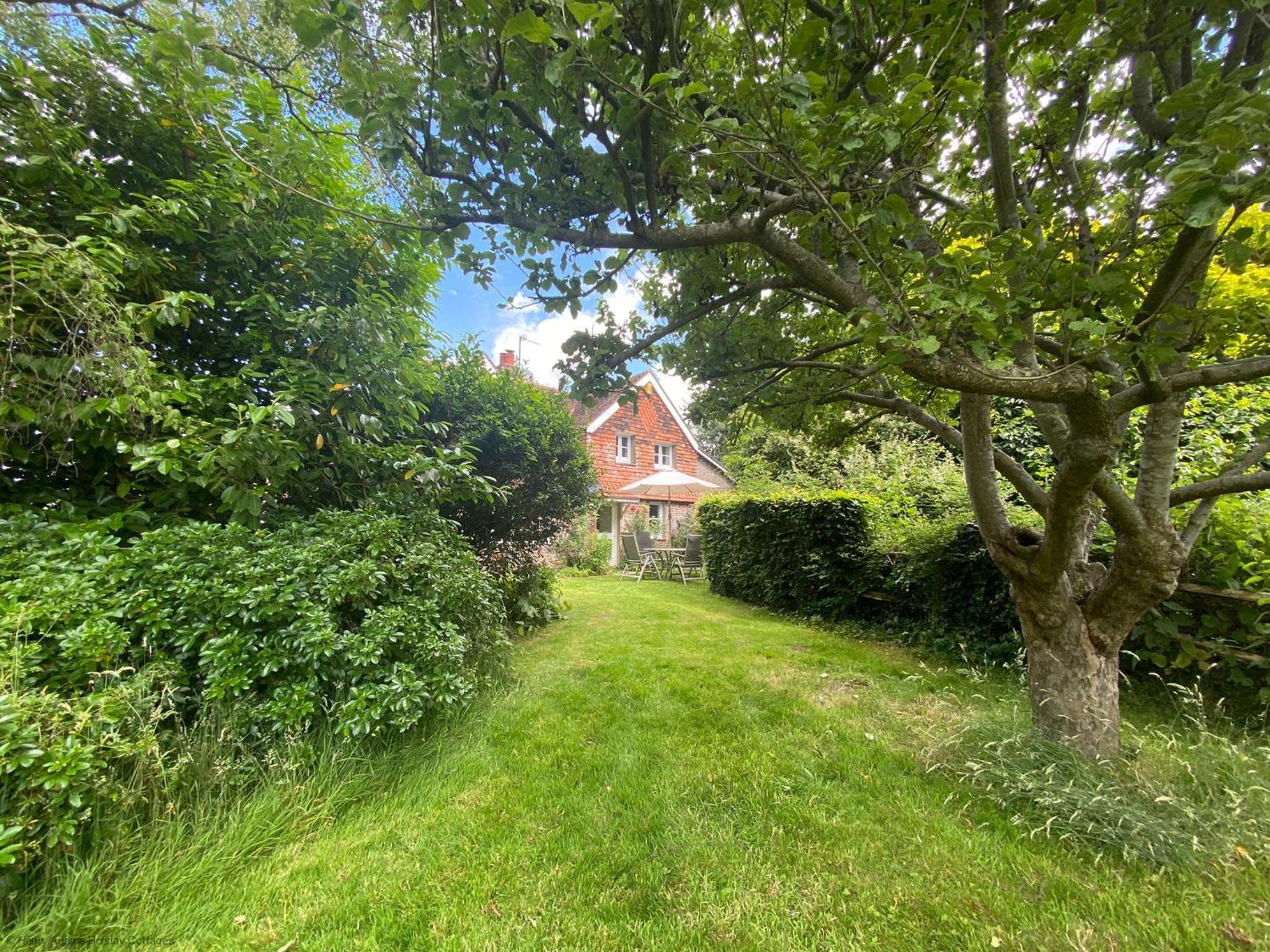 Vane Cottage - Lewes