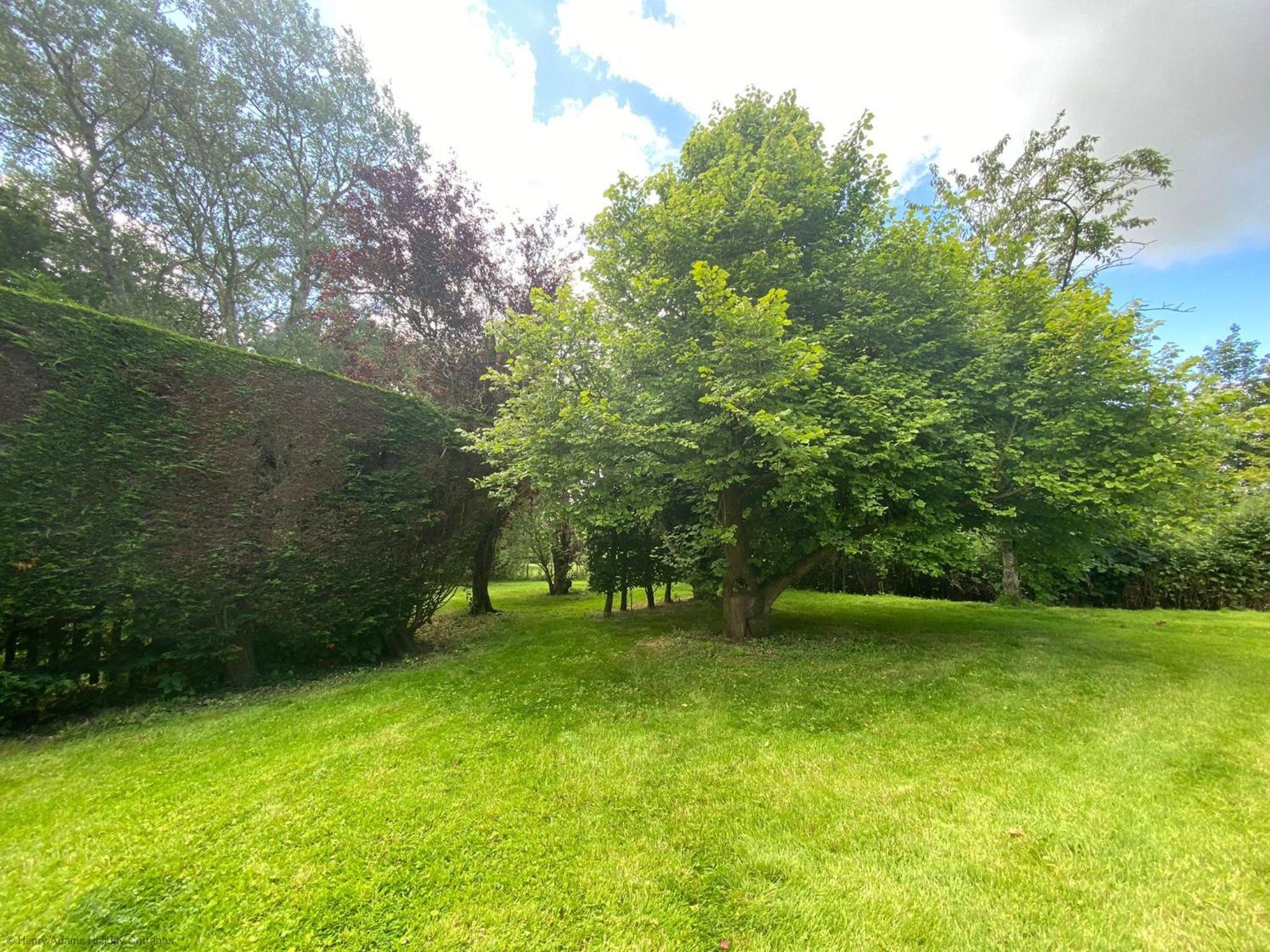 Vane Cottage - Lewes