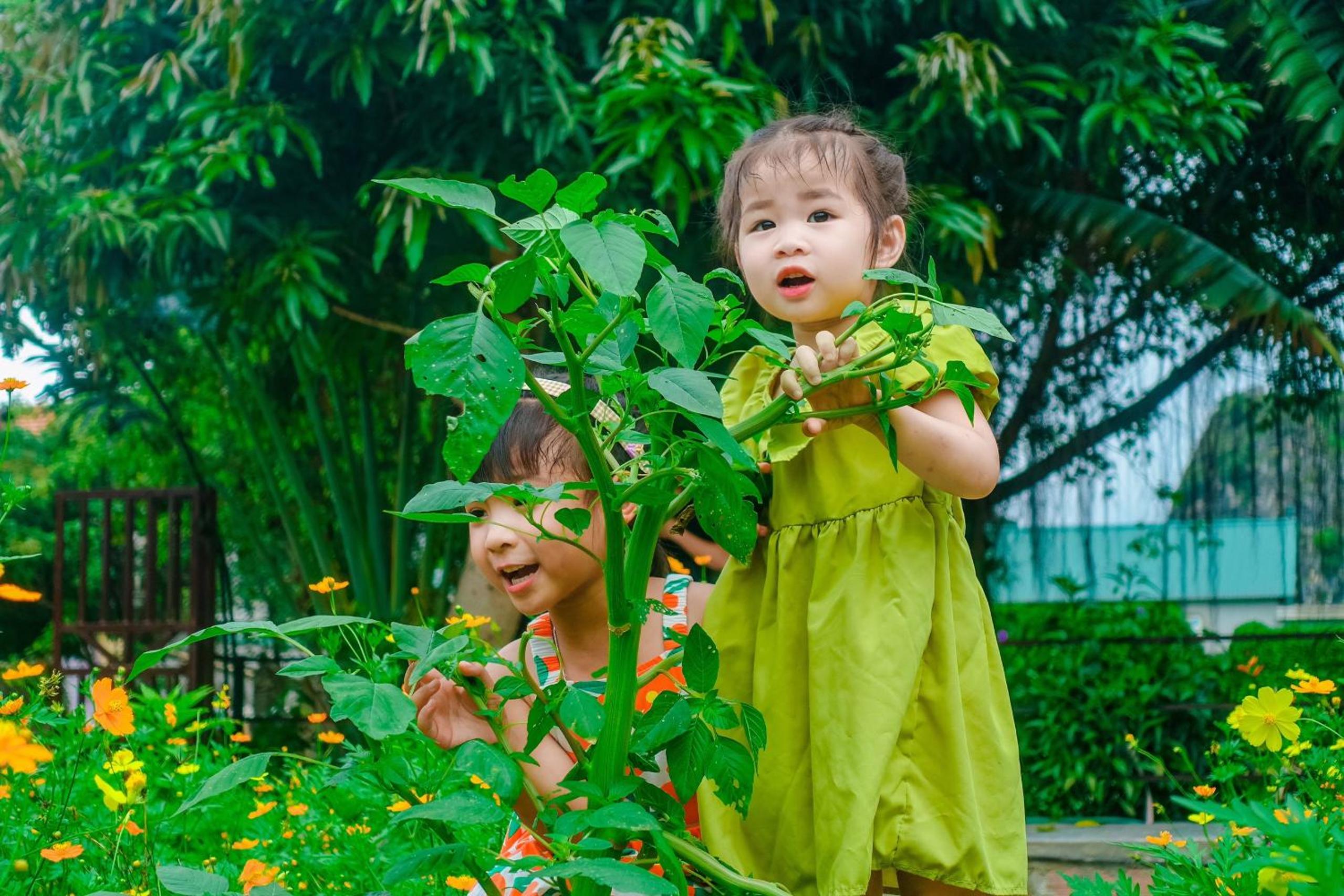 Ninh Binh Mountain Side Homestay & Cafe