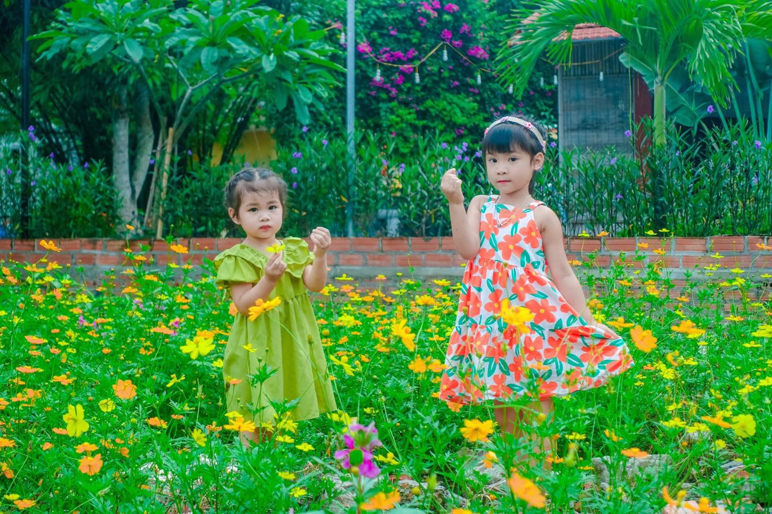 Ninh Binh Mountain Side Homestay & Cafe