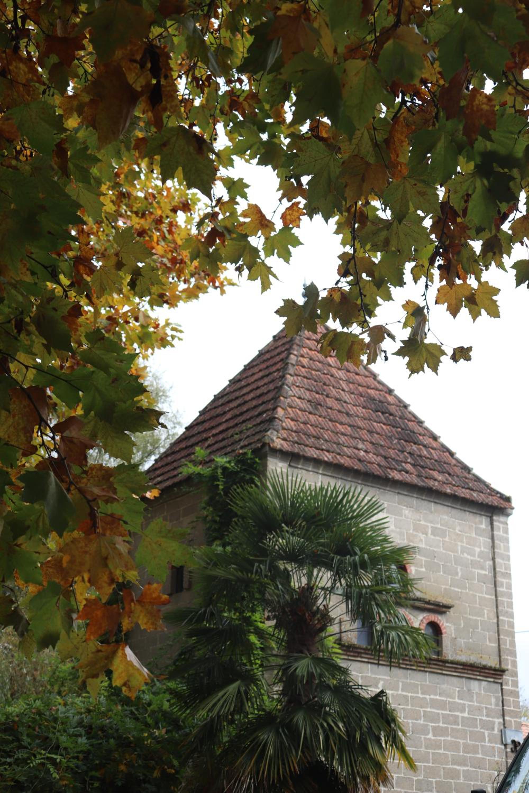 Photo 20
