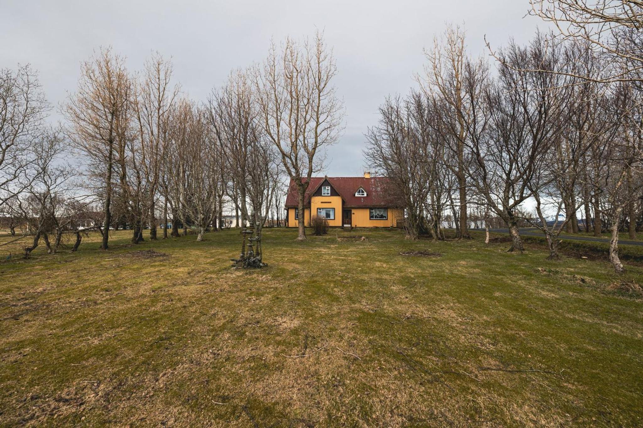 Photo 26