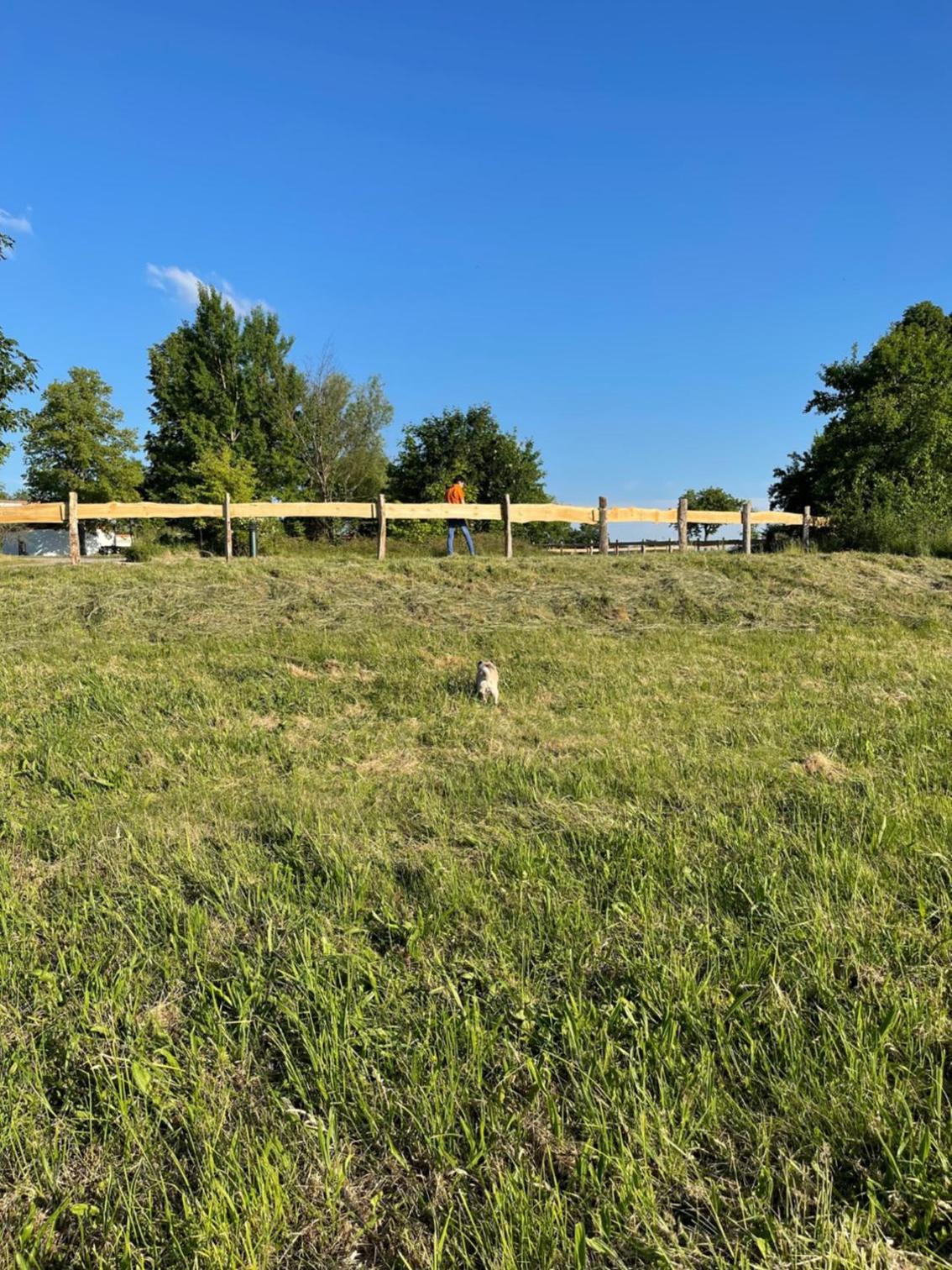 Naturnahes, neu möbl.Apartment, hundefreundlich